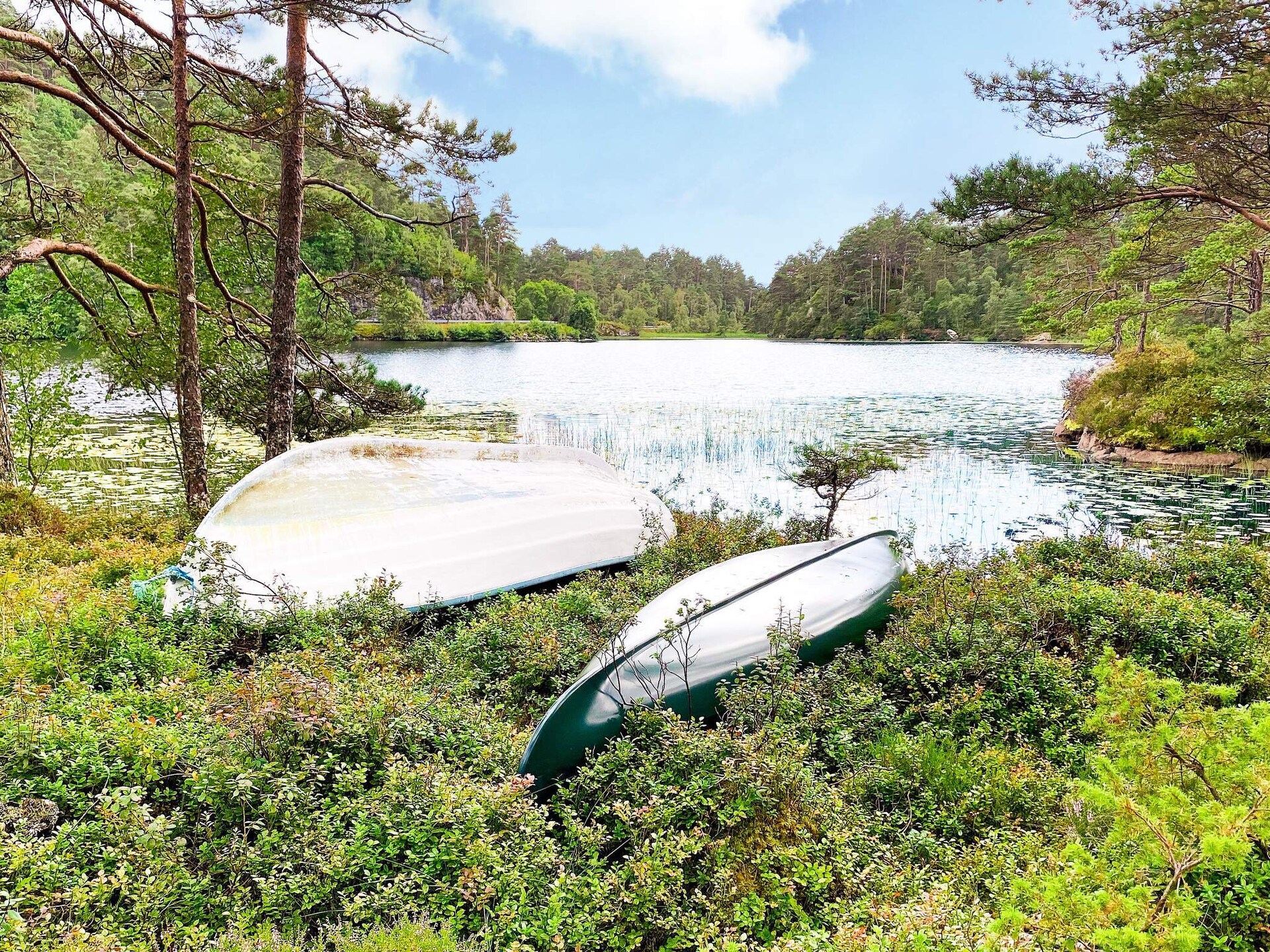 Sfeervol vakantiehuis in Reksteren met uitzicht op de fjord - foto 16