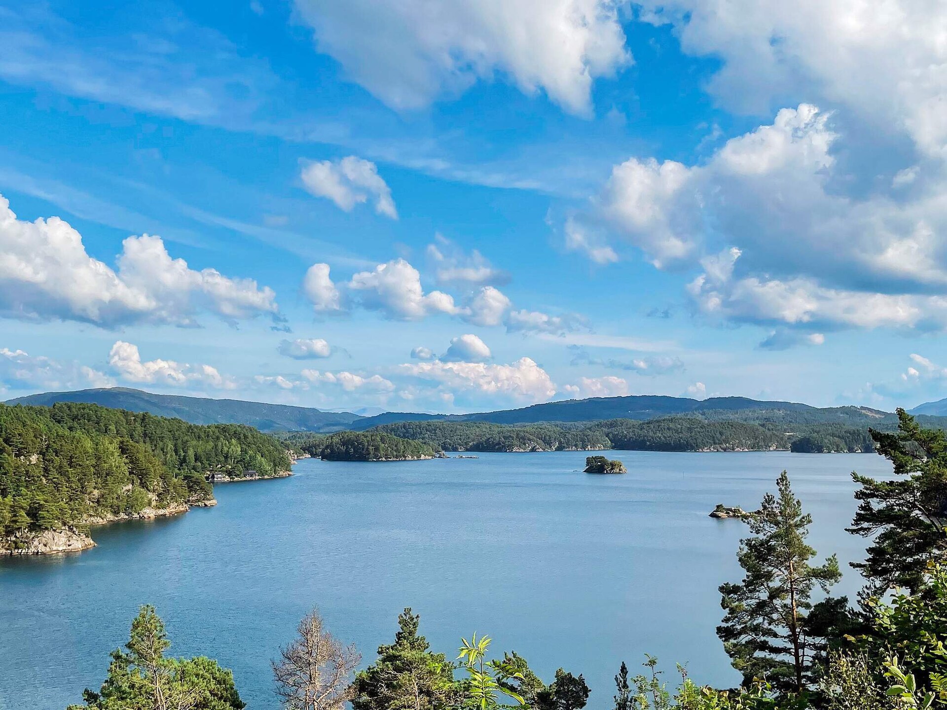 Sfeervol vakantiehuis in Reksteren met uitzicht op de fjord - foto 50