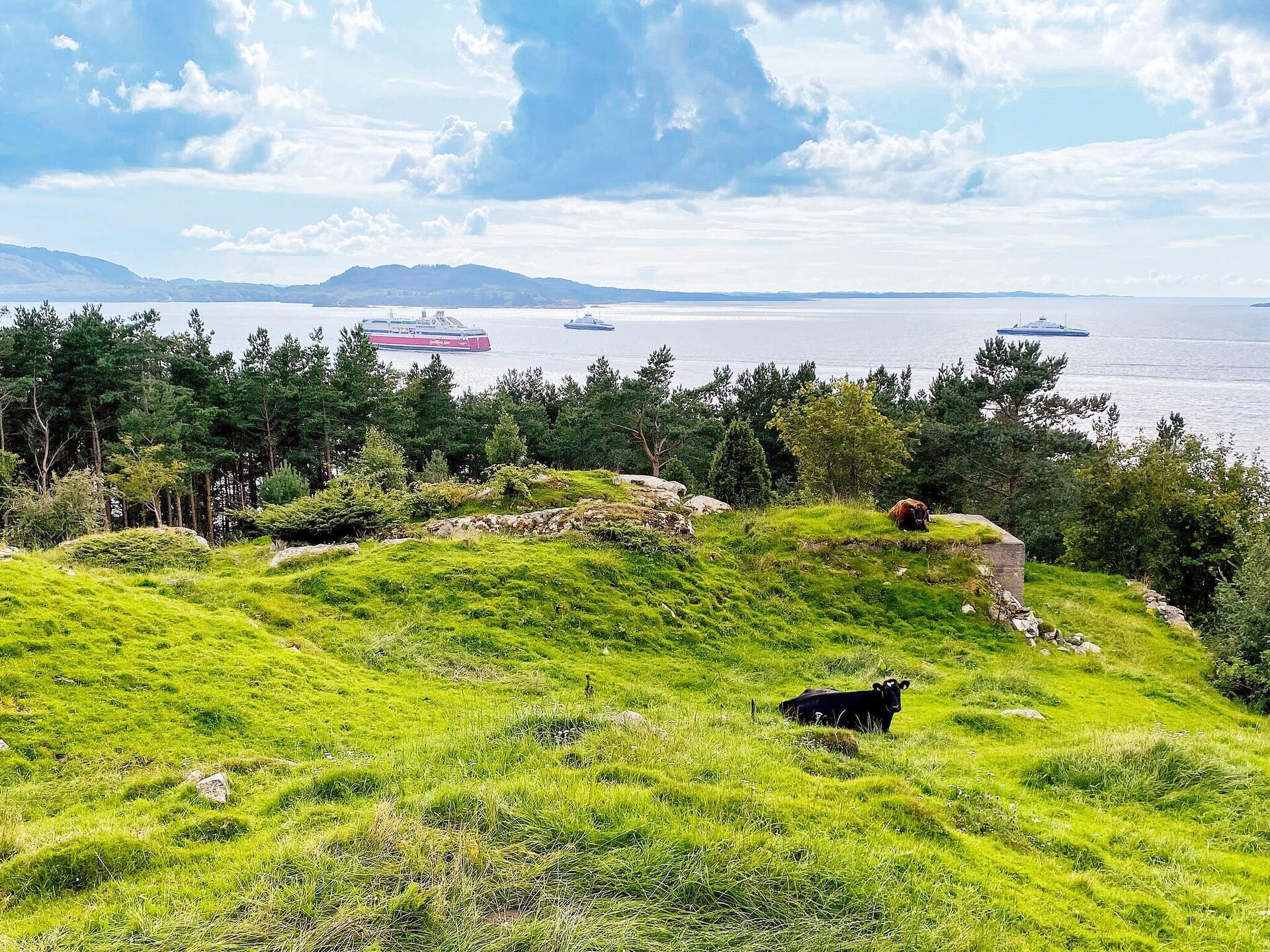 Sfeervol vakantiehuis in Reksteren met uitzicht op de fjord - foto 60