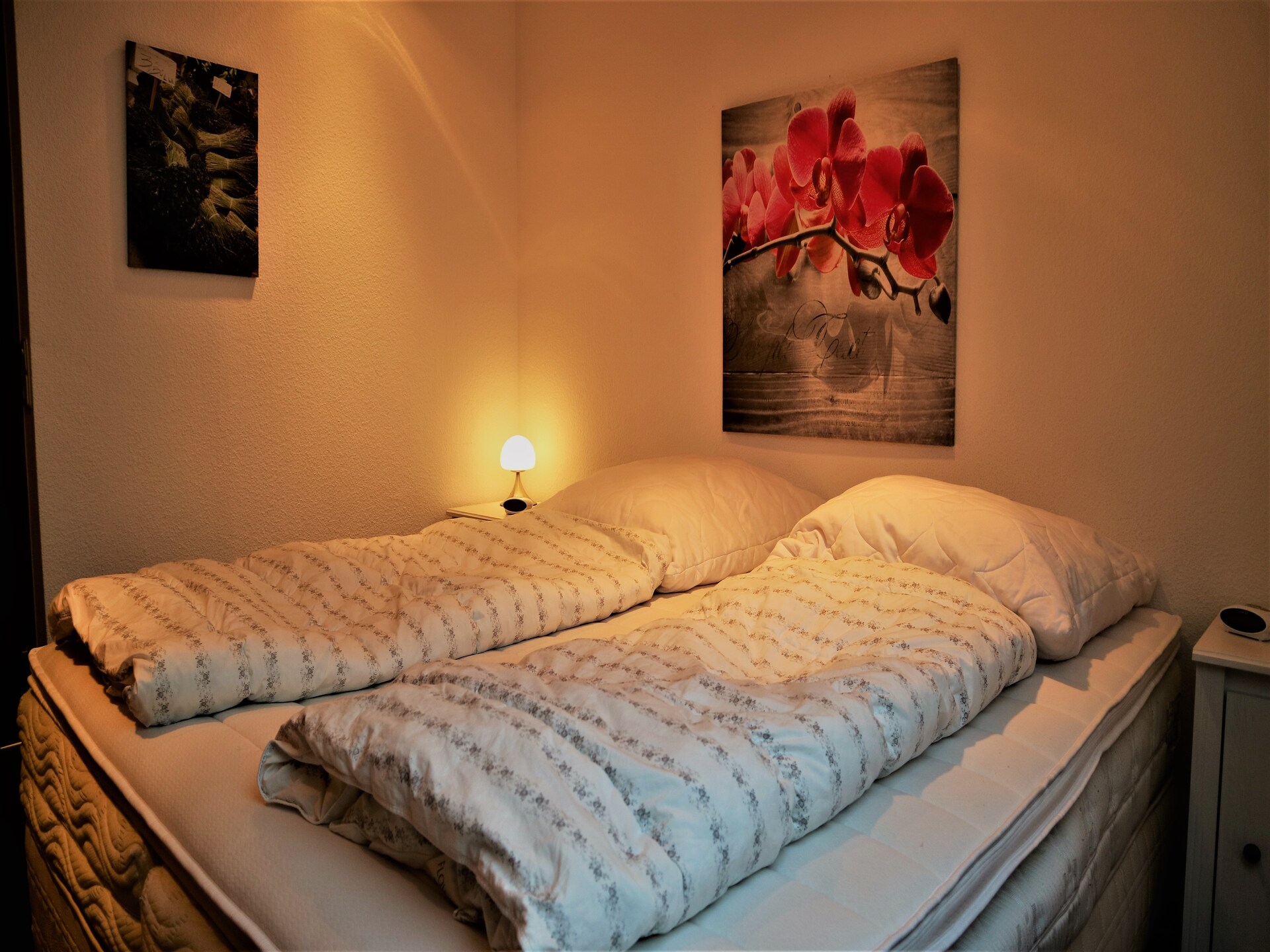 Appartement Olivia: 100m van de piste in Winterberg - foto 5