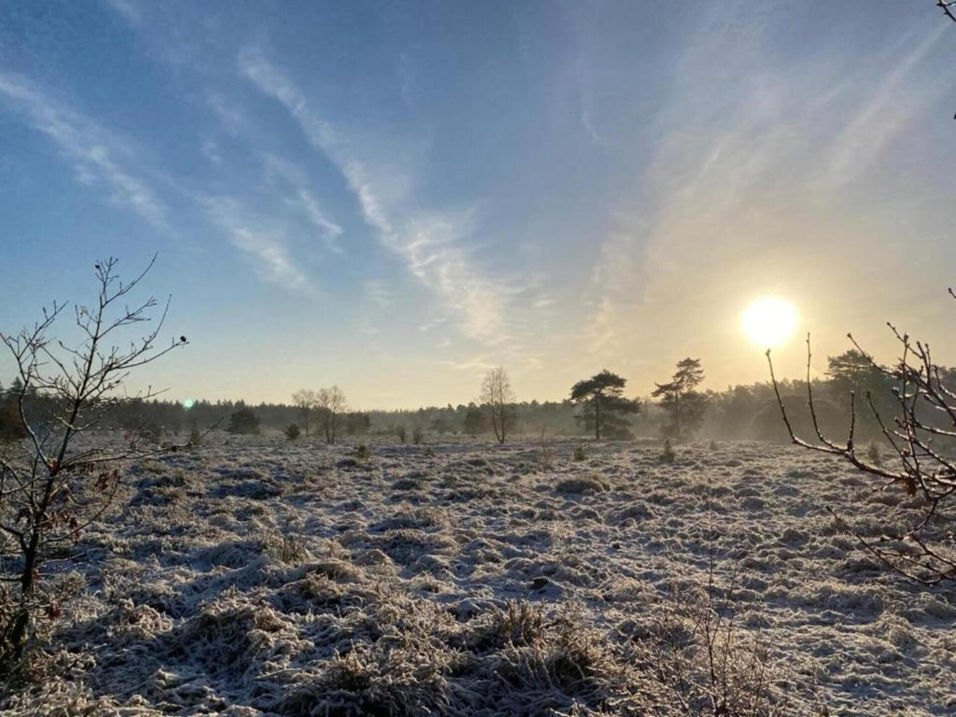 De Veluwse Eekhoorn: knus vakantiehuis midden in het bos van Garderen - foto 36