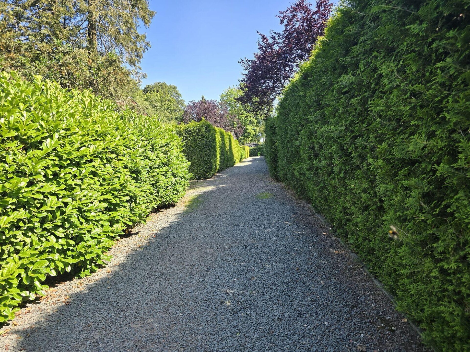 De Veluwse Eekhoorn: knus vakantiehuis midden in het bos van Garderen - foto 38