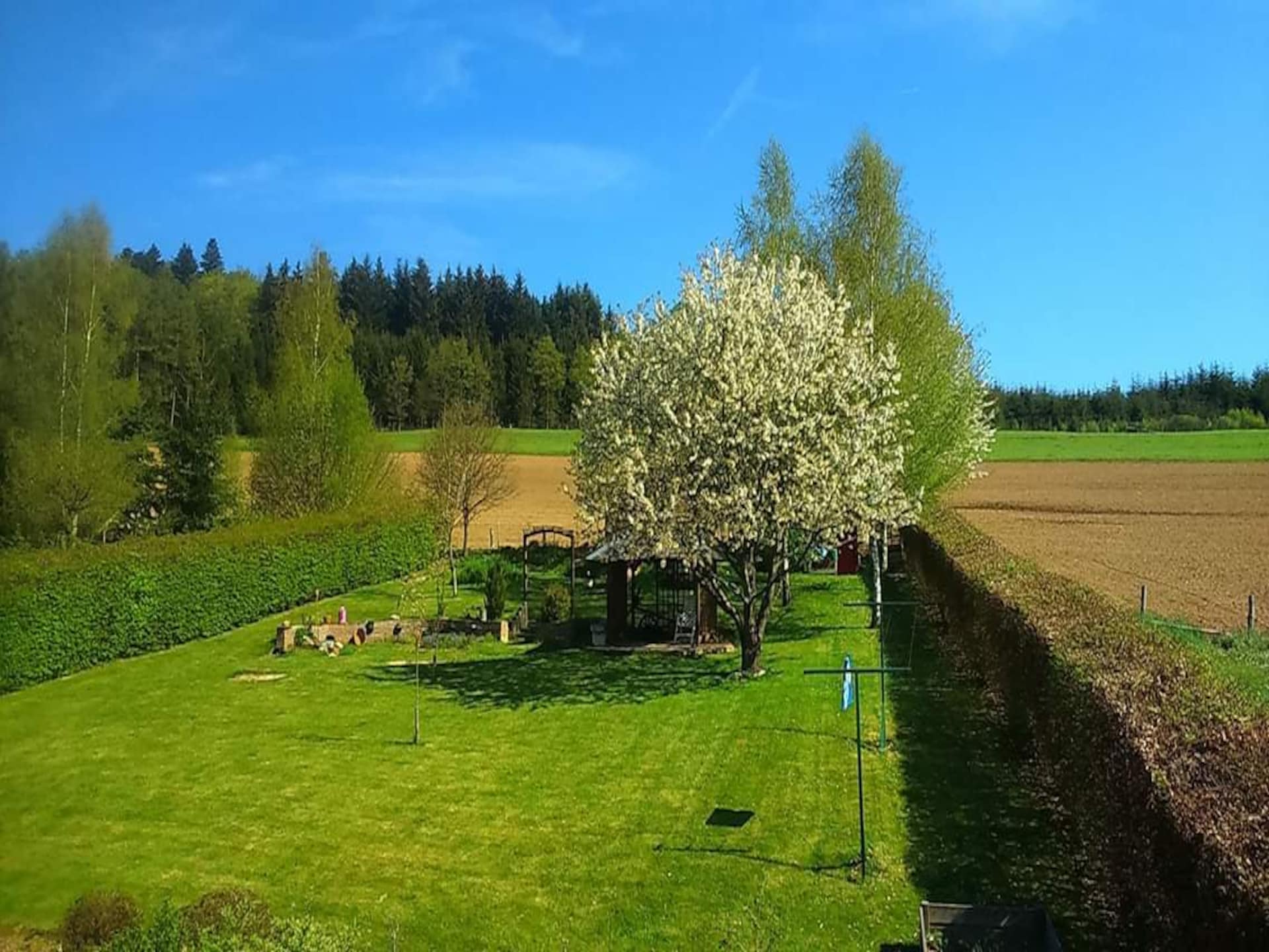 Op 700m van centrum Vielsalm: ruim vakantiehuis met wellness - foto 25