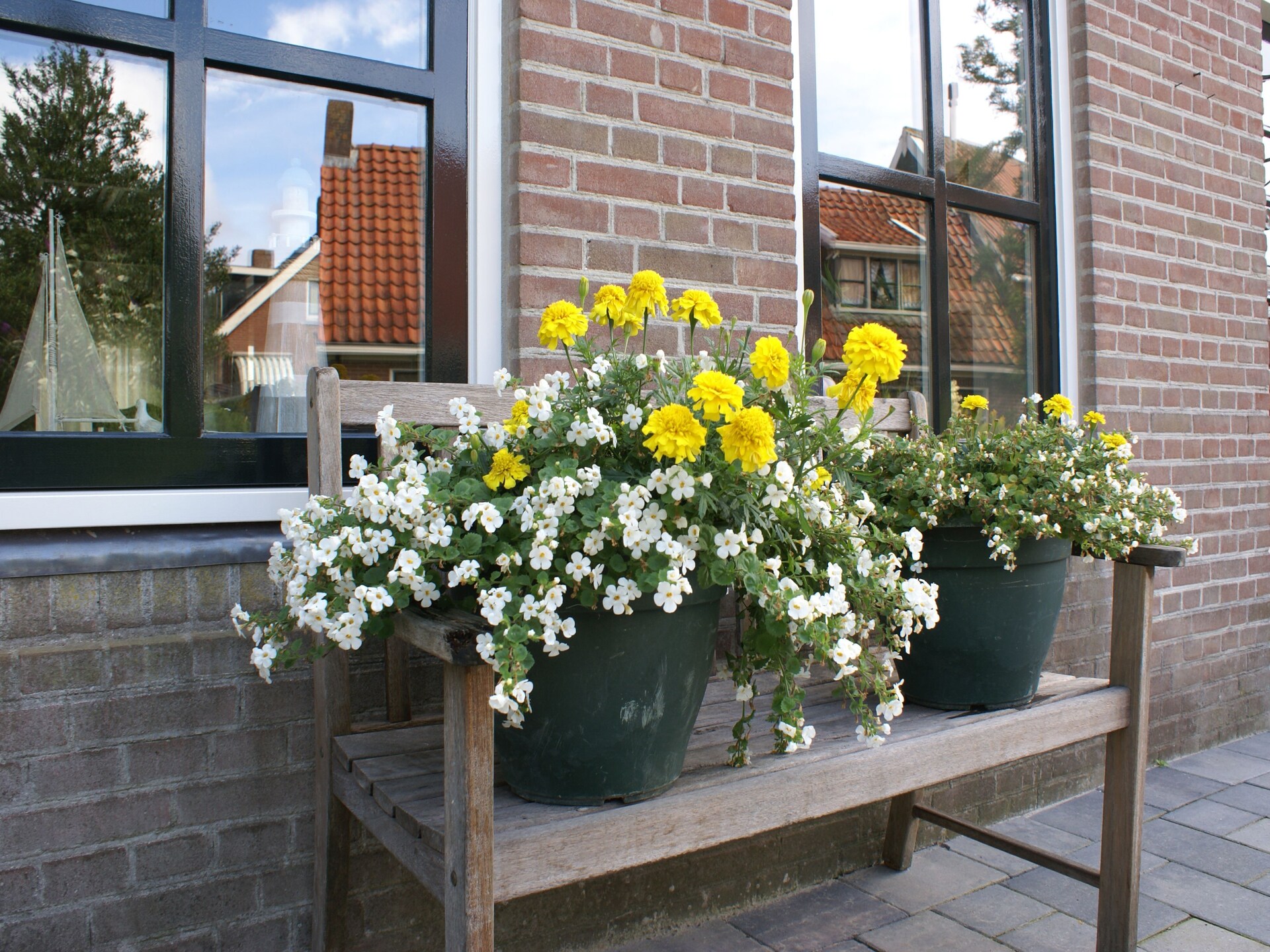 Wadden Geluk: Luxe vakantiehuis direct aan het Wad in Paesens - foto 19