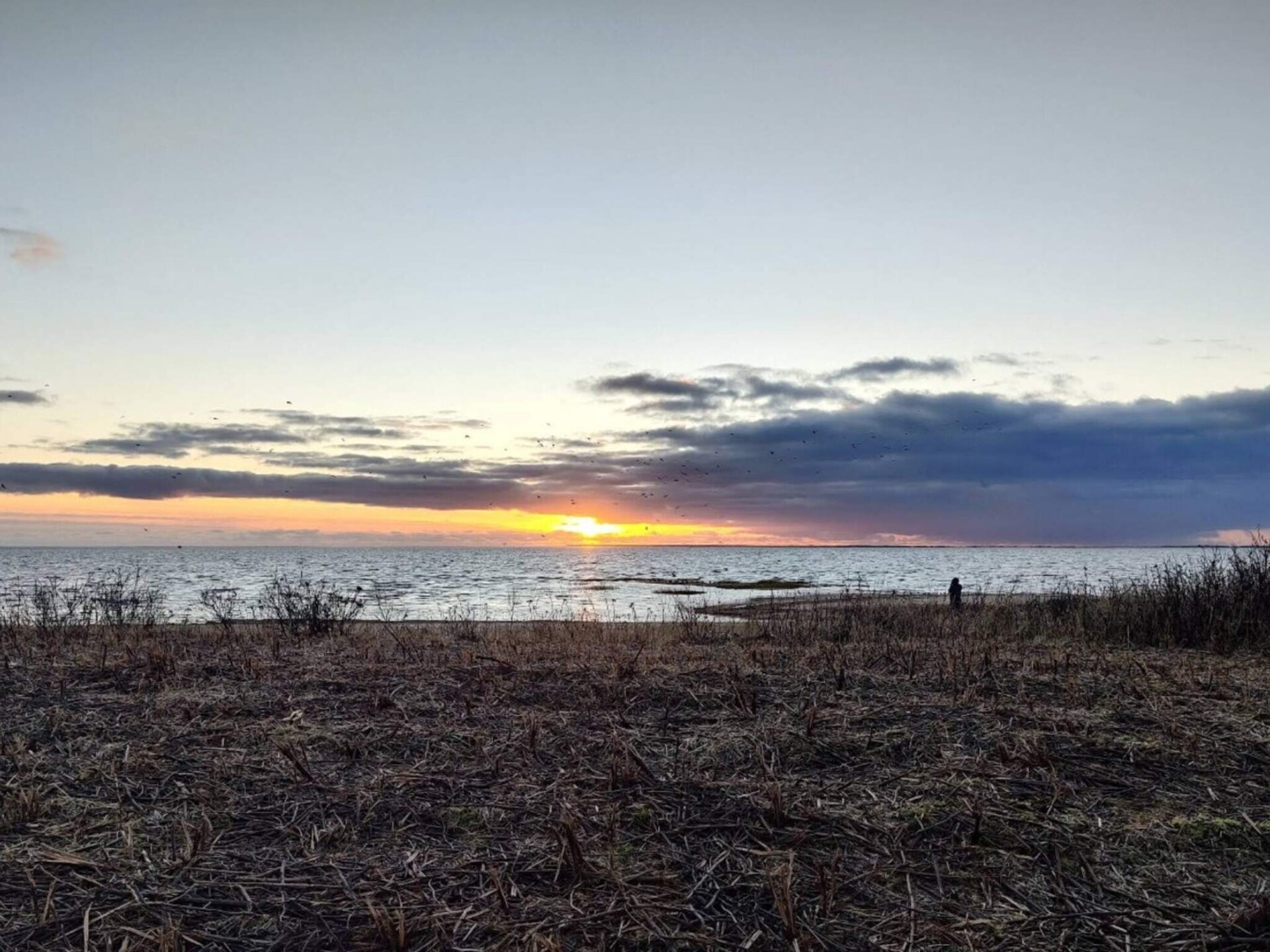 2-persoons vakantiehuis aan zee in Esbjerg V - foto 39