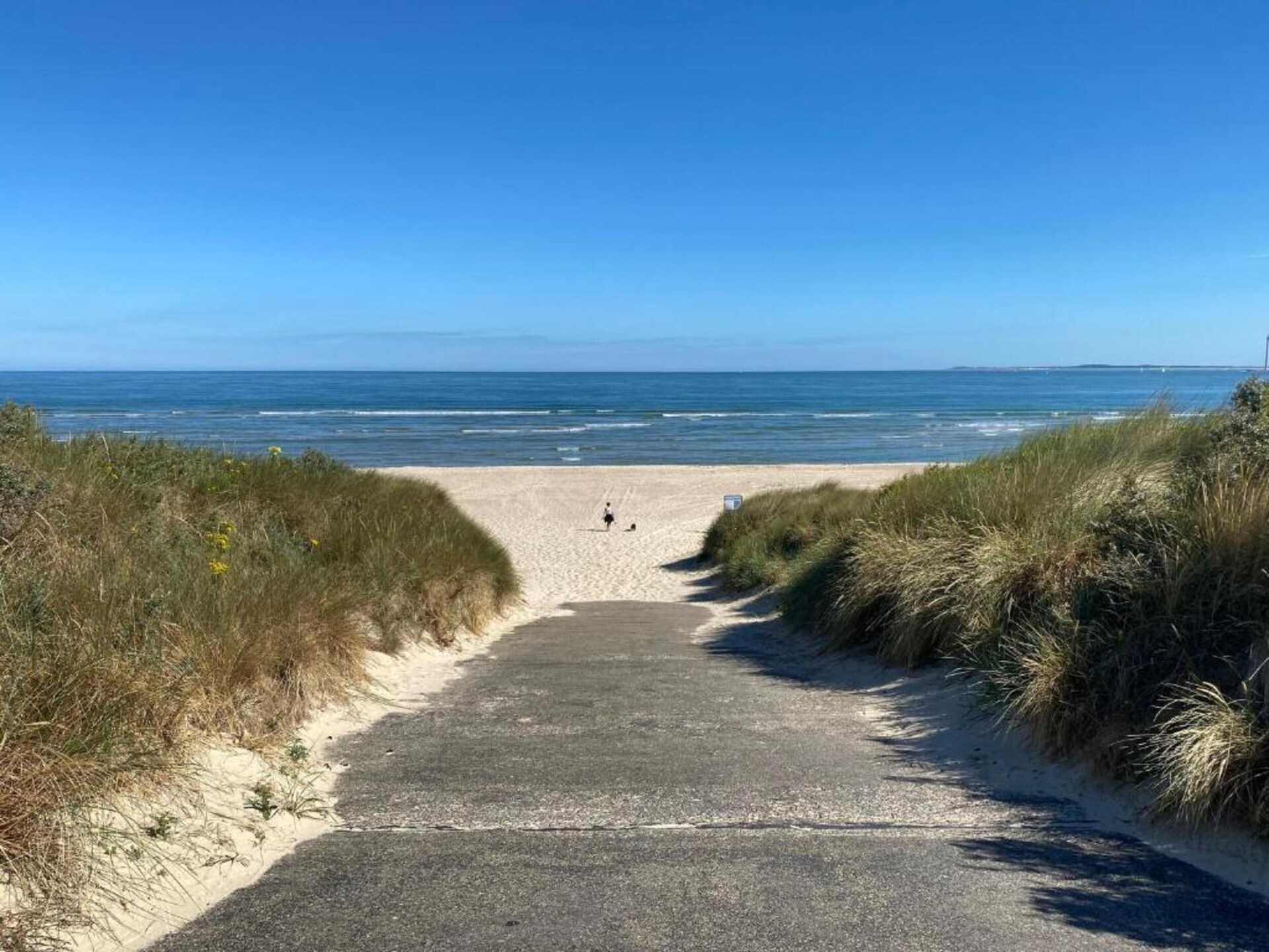 Waterlodge Blue Island: uniek overnachten aan het Veerse Meer - foto 33