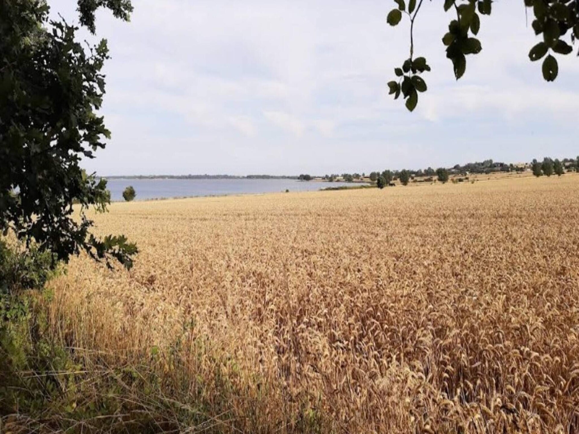 Sfeervol vakantiehuis in het hart van Ærøskøbing - foto 22