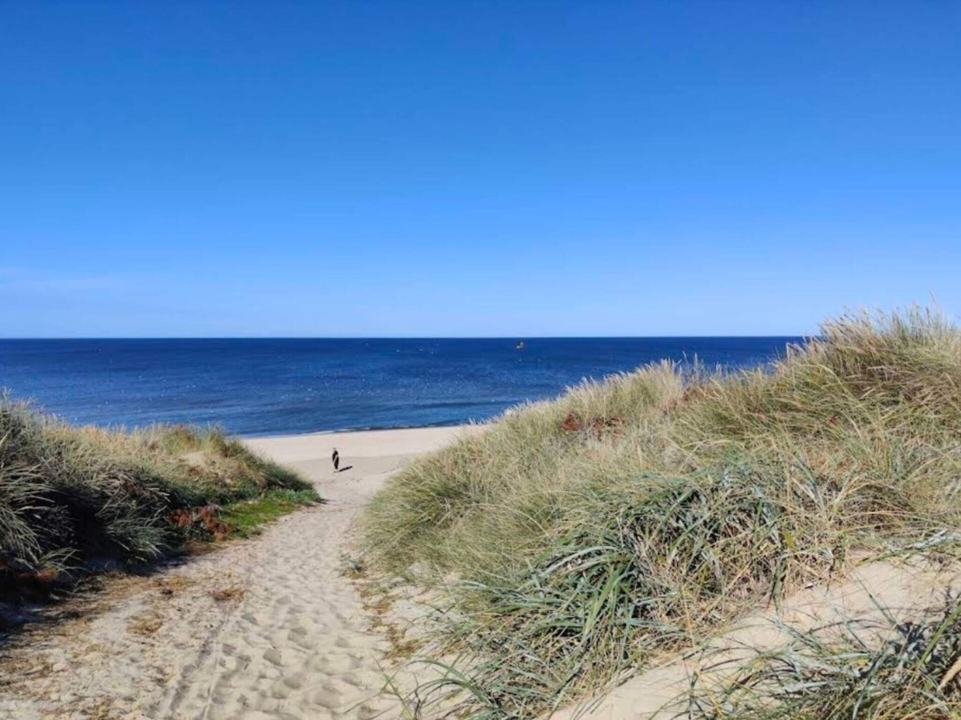 Aan zee: Gezellig vakantiehuis in Ringkøbing voor 4 personen - foto 31