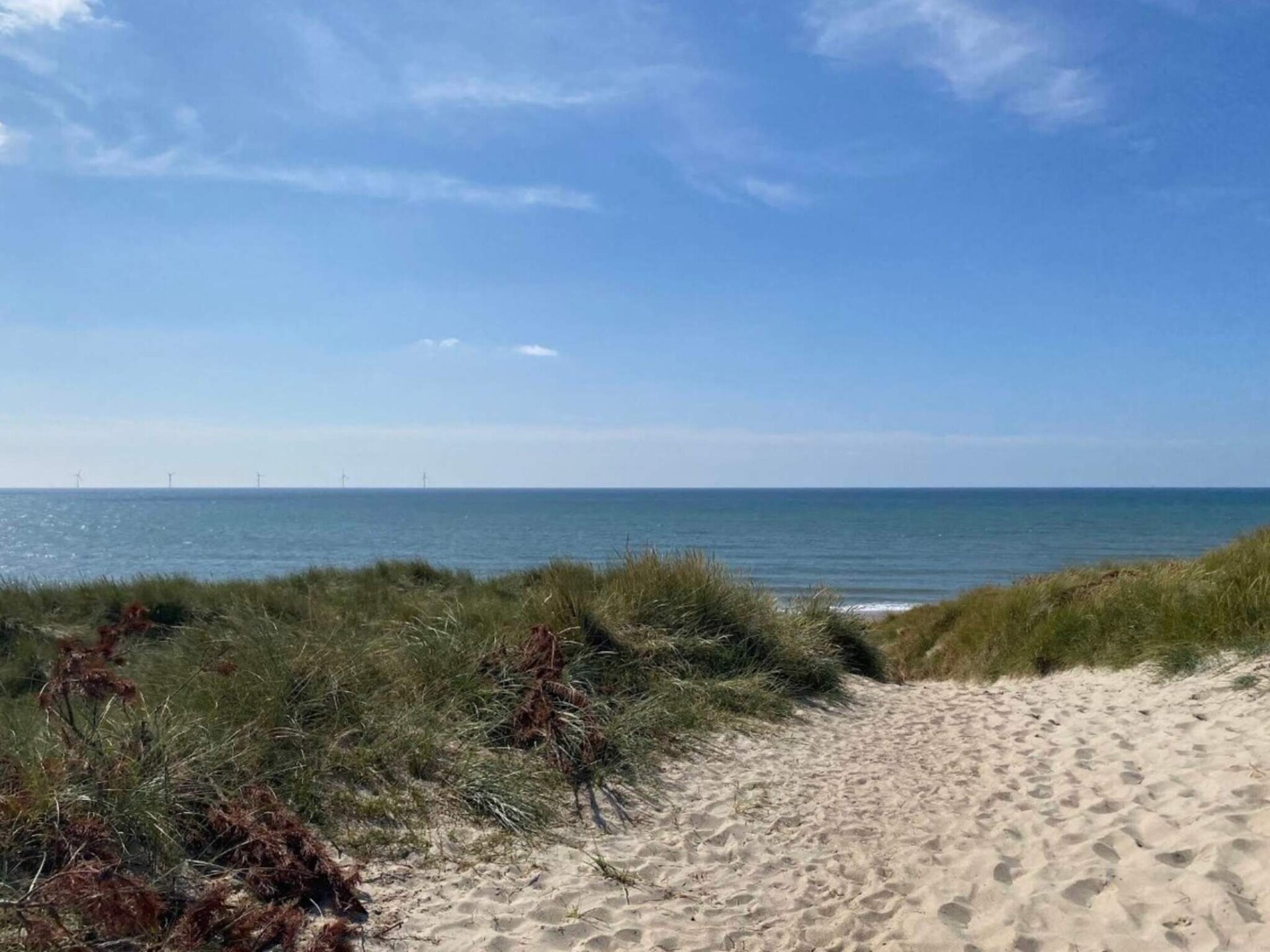 Aan zee: Gezellig vakantiehuis in Ringkøbing voor 4 personen - foto 43