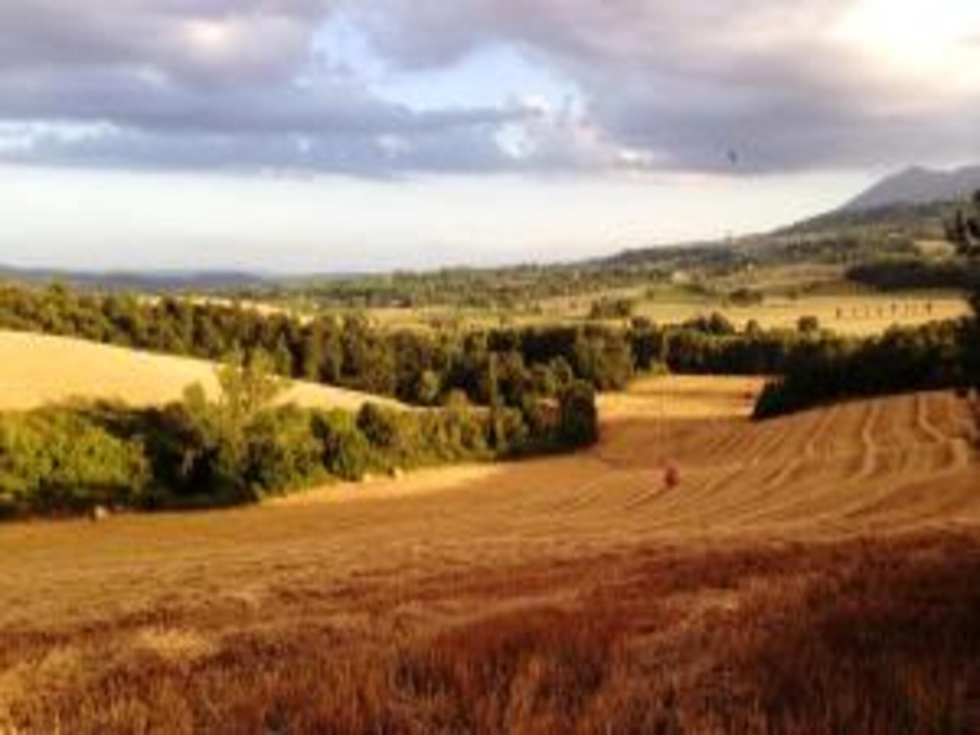 Privézwembad en Toscaanse charme in vakantiehuis Poggio Casale, Chiusi - foto 32