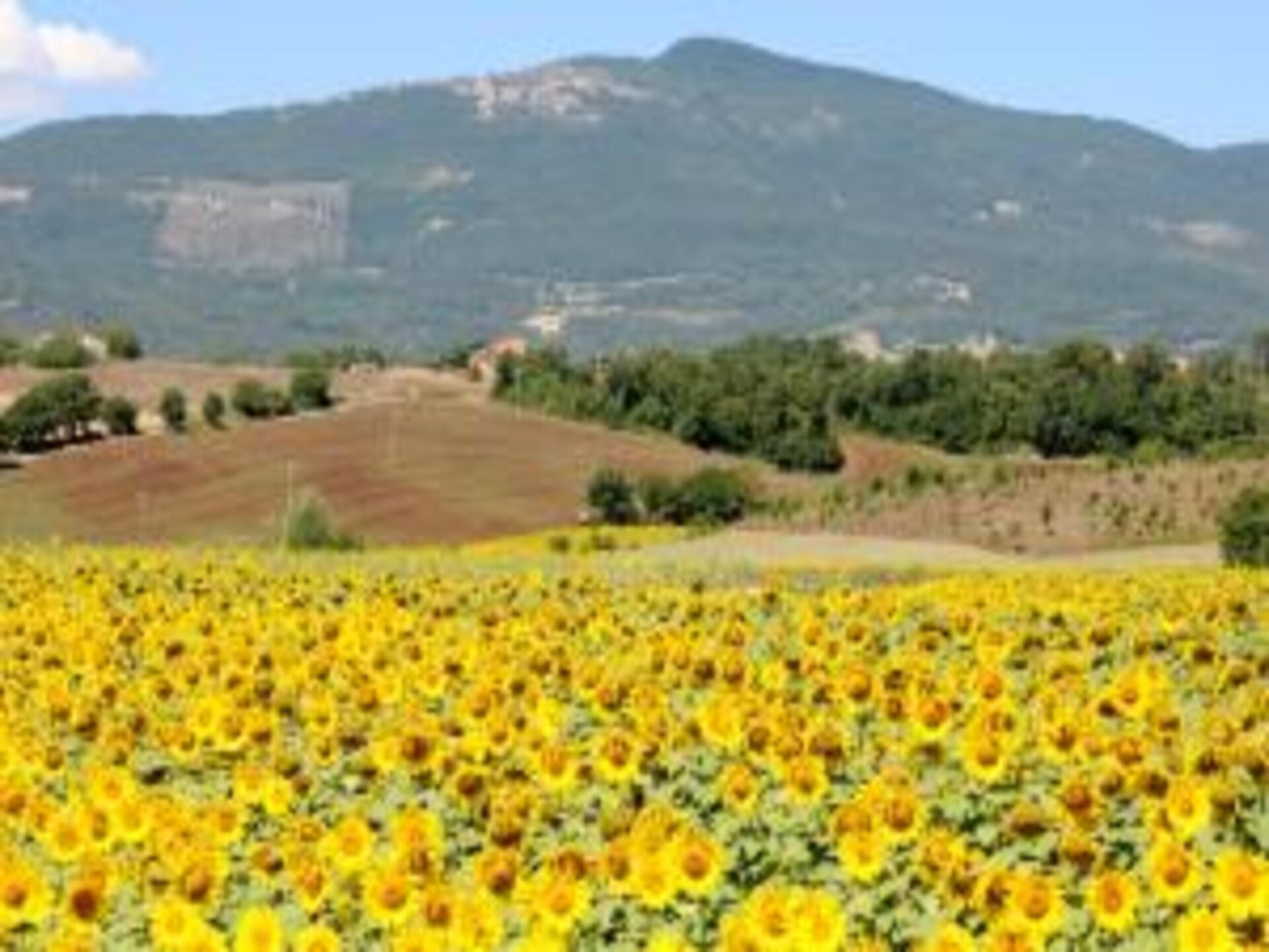 Privézwembad en Toscaanse charme in vakantiehuis Poggio Casale, Chiusi - foto 33
