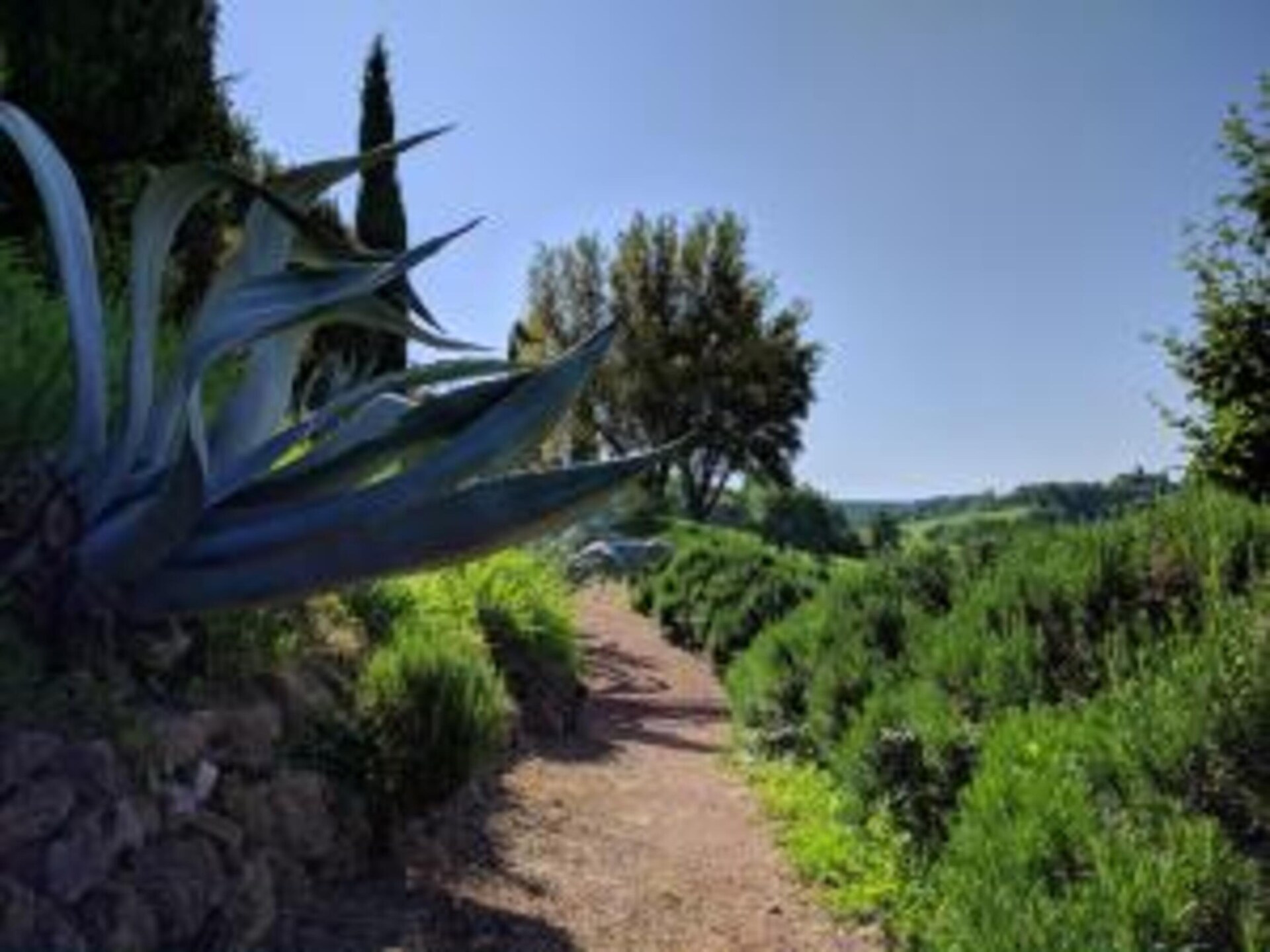 Privézwembad en Toscaanse charme in vakantiehuis Poggio Casale, Chiusi - foto 28