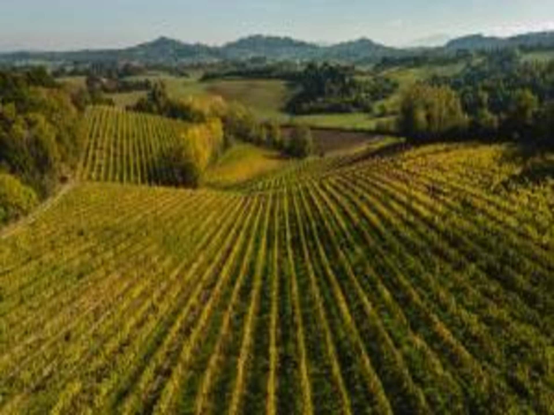 Privézwembad en Toscaanse charme in vakantiehuis Poggio Casale, Chiusi - foto 37