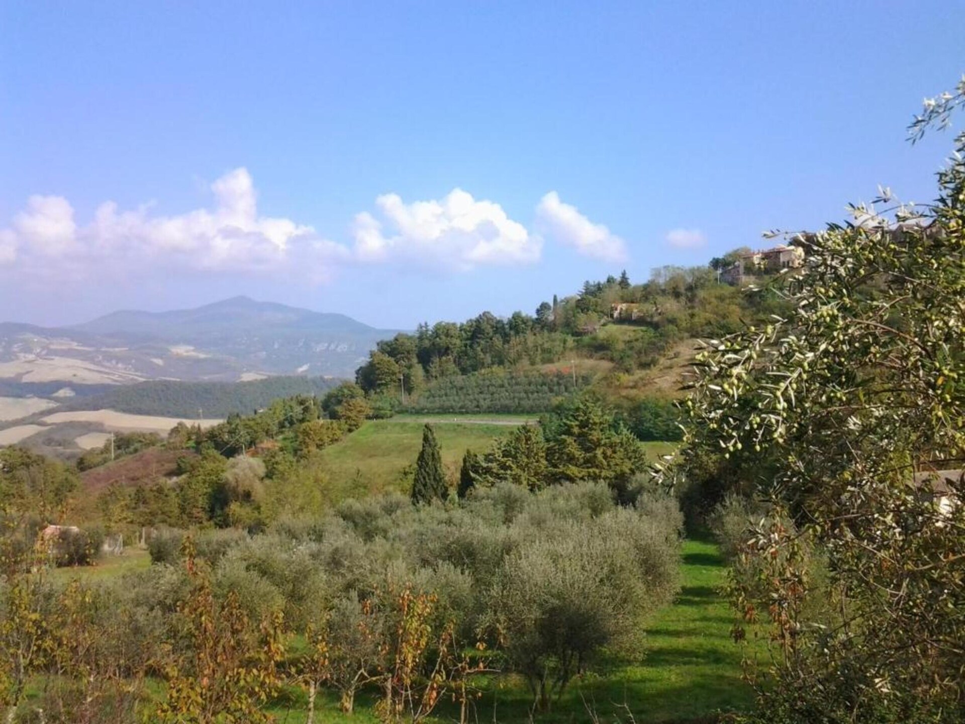 Villa La Felce: Ruim Toscaans vakantiehuis met privézwembad in Cetona - foto 34