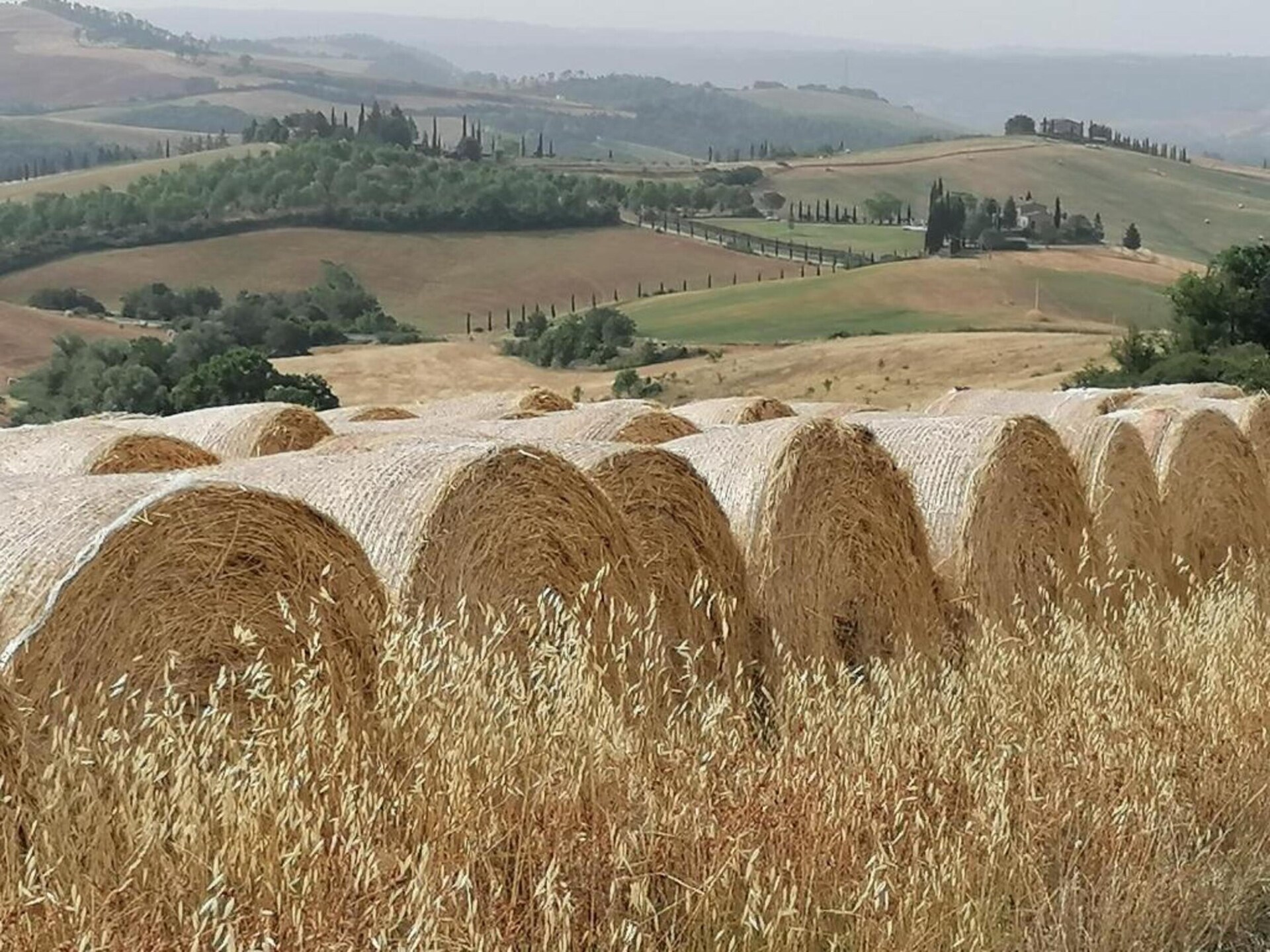 Villa La Felce: Ruim Toscaans vakantiehuis met privézwembad in Cetona - foto 40