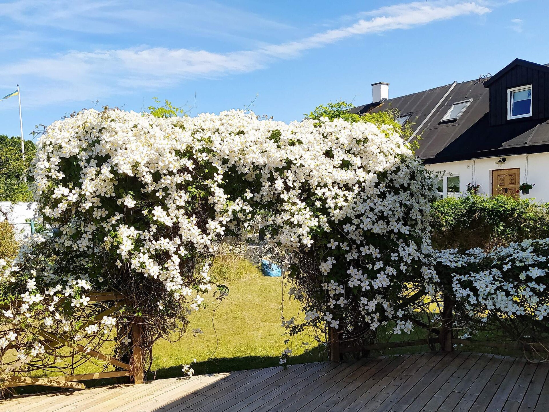 Ruim vakantiehuis voor 7 aan de Zweedse zuidkust, 80 meter van zee - foto 5