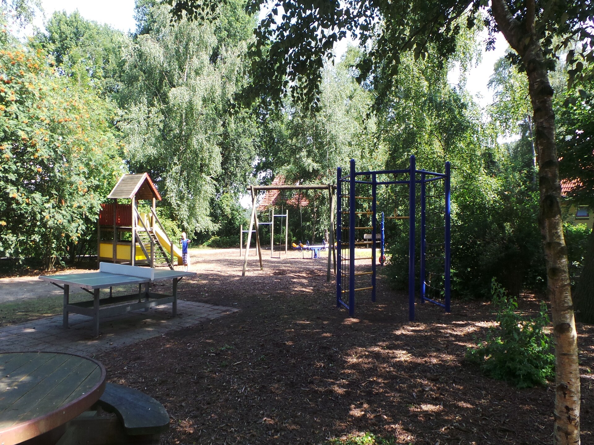 Ús Plakje: Ruim vakantiehuis in het bos van De Lemelerberg - foto 25