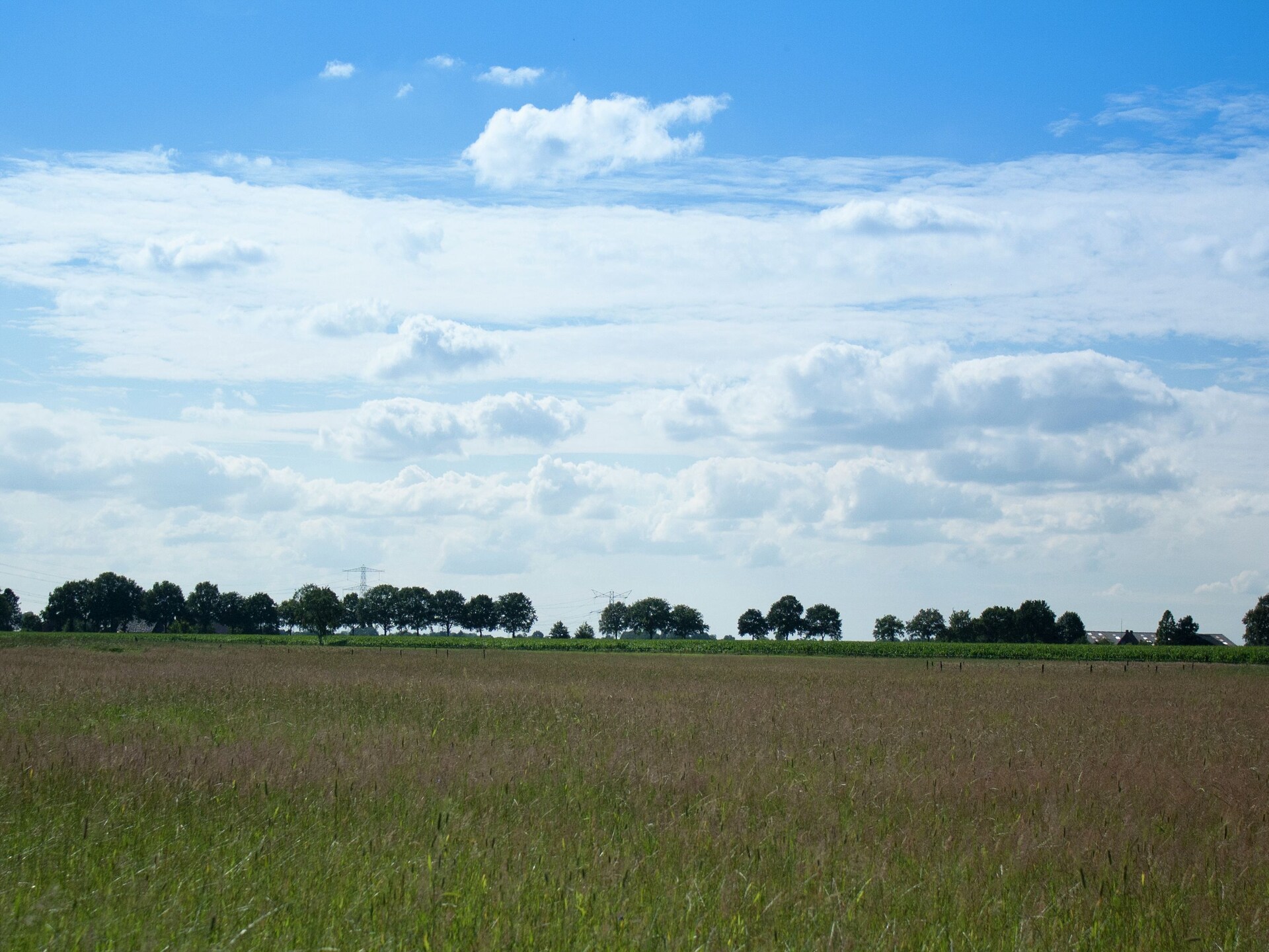 Ús Plakje: Ruim vakantiehuis in het bos van De Lemelerberg - foto 31