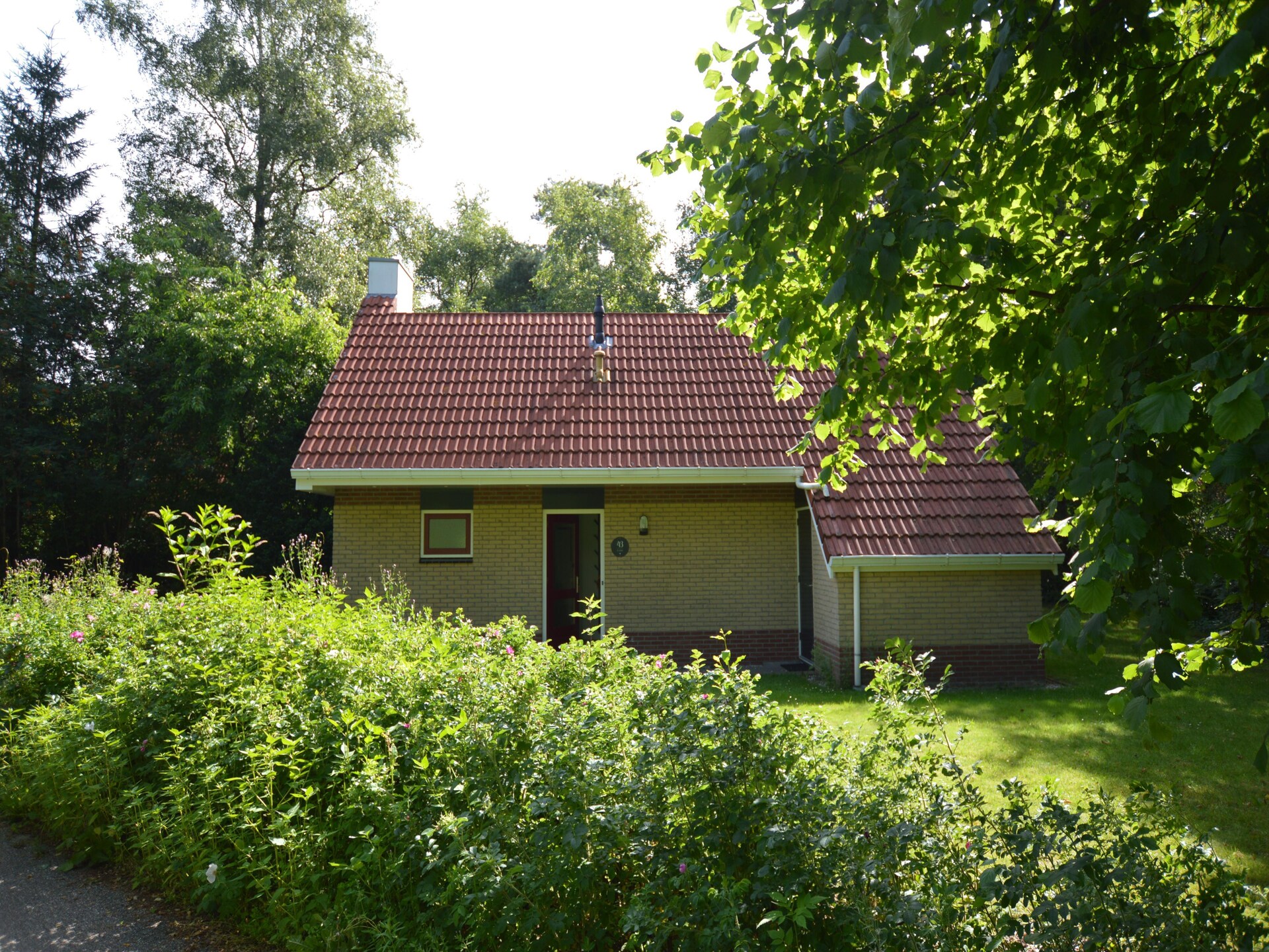 Ús Plakje: Ruim vakantiehuis in het bos van De Lemelerberg - foto 18