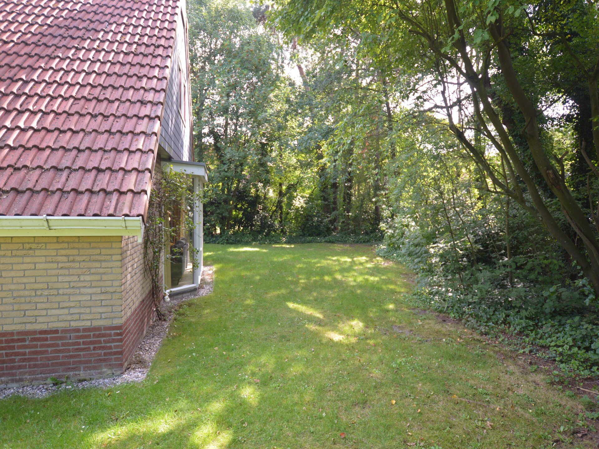 Ús Plakje: Ruim vakantiehuis in het bos van De Lemelerberg - foto 19