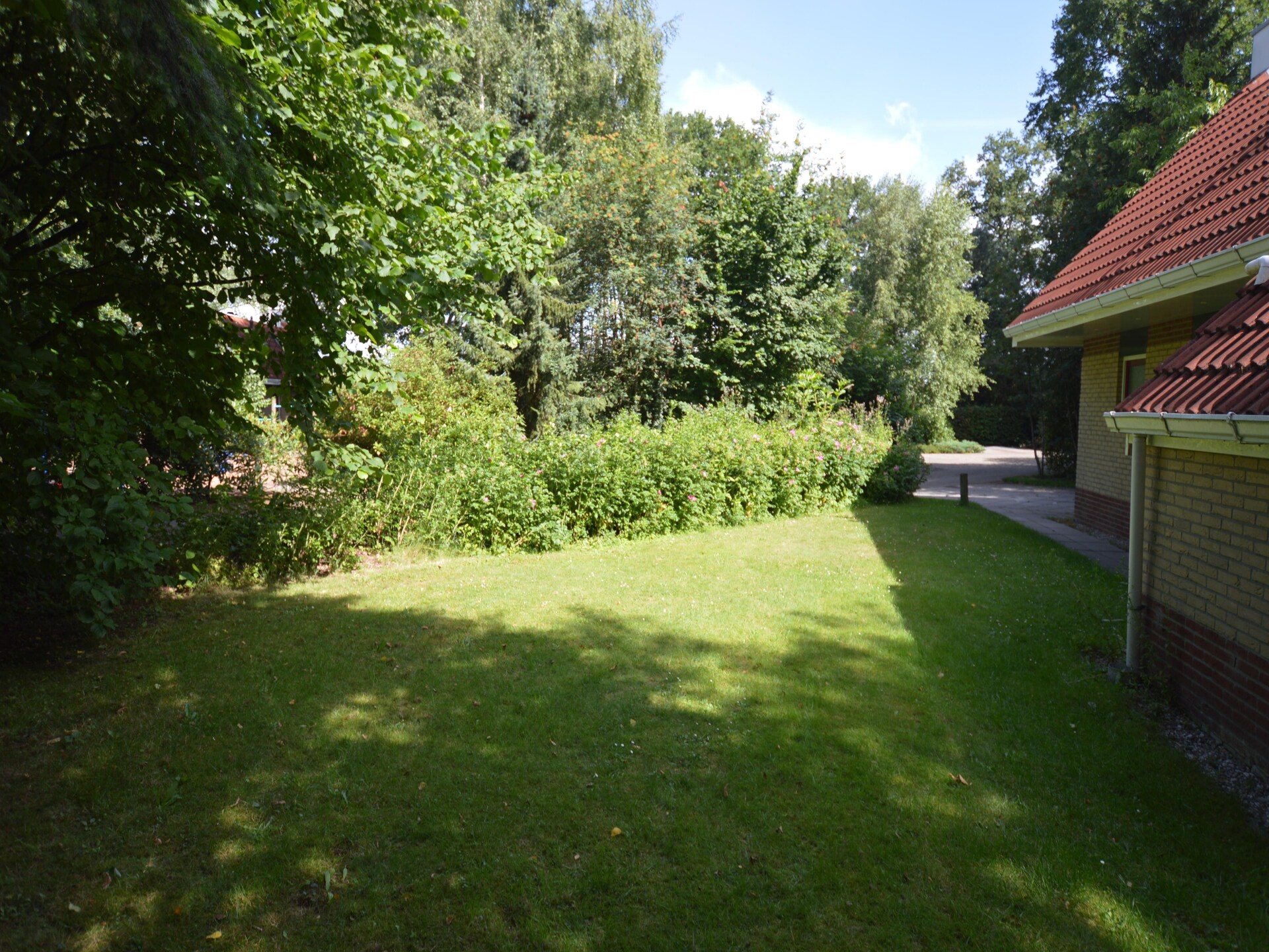 Ús Plakje: Ruim vakantiehuis in het bos van De Lemelerberg - foto 20