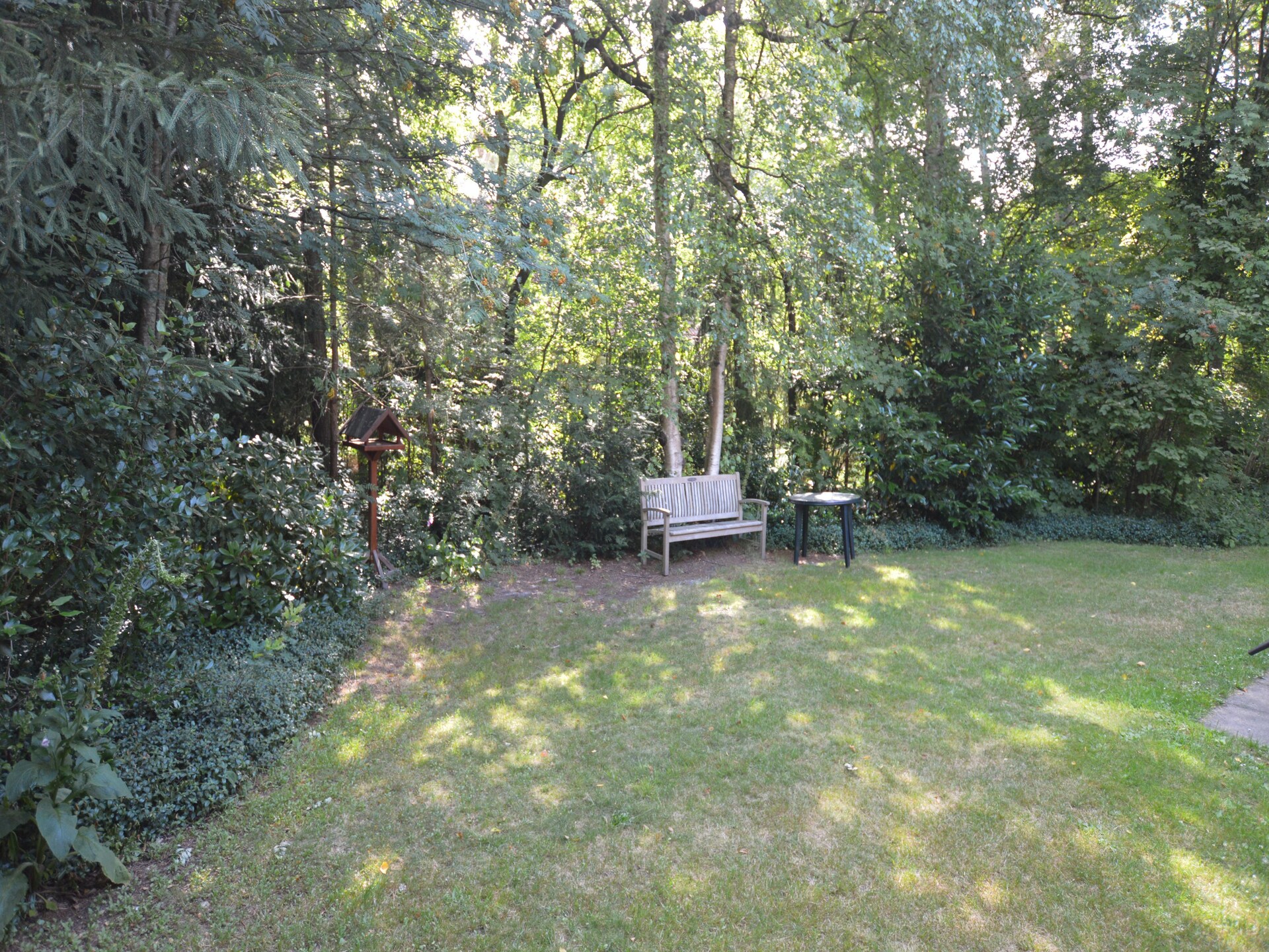 Ús Plakje: Ruim vakantiehuis in het bos van De Lemelerberg - foto 23