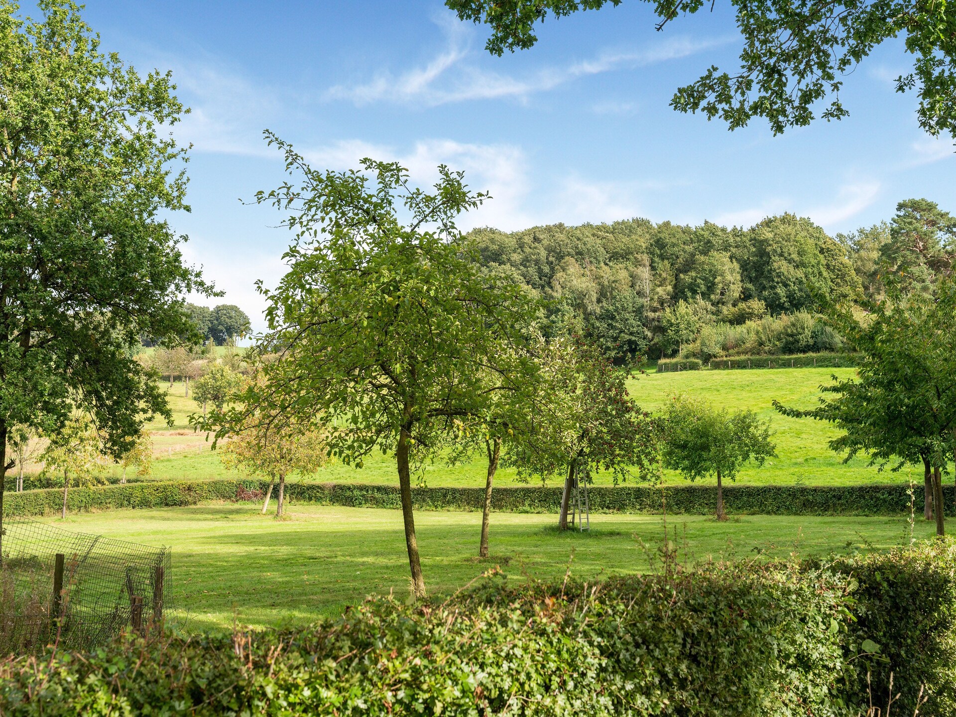 Valleyview Cottages NR01: Landhuis in het hart van Zuid-Limburg - foto 33