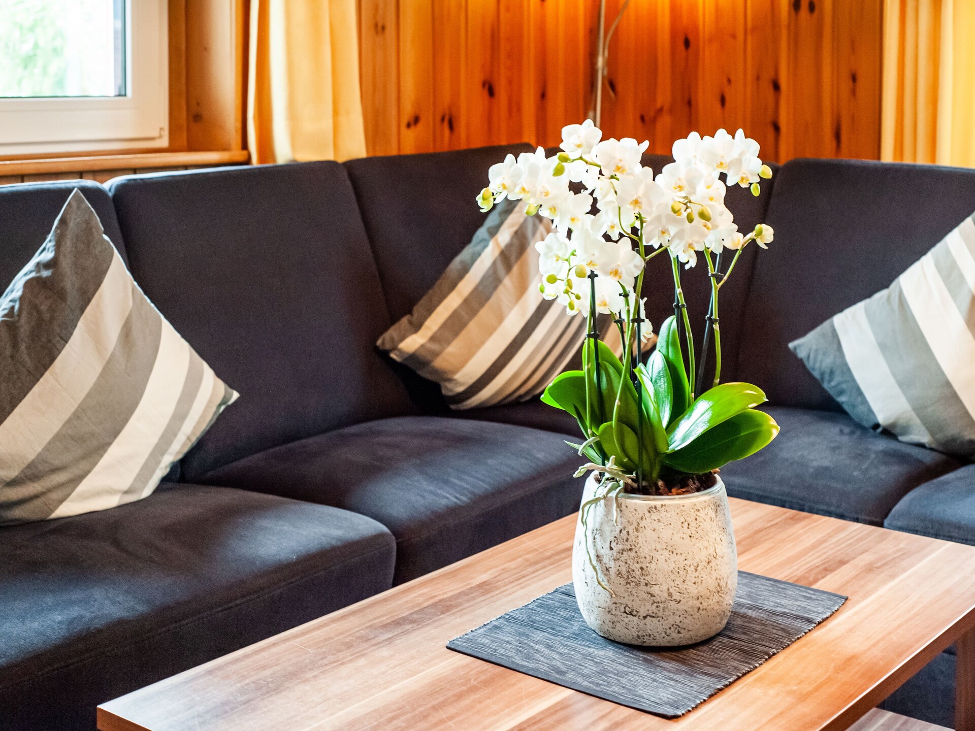 Appartement voor 8 aan de piste in Sankt Gallenkirch - foto 36