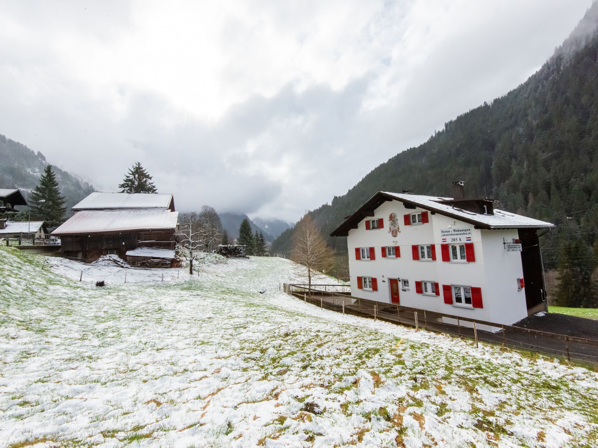 Appartement voor 8 aan de piste in Sankt Gallenkirch - foto 8