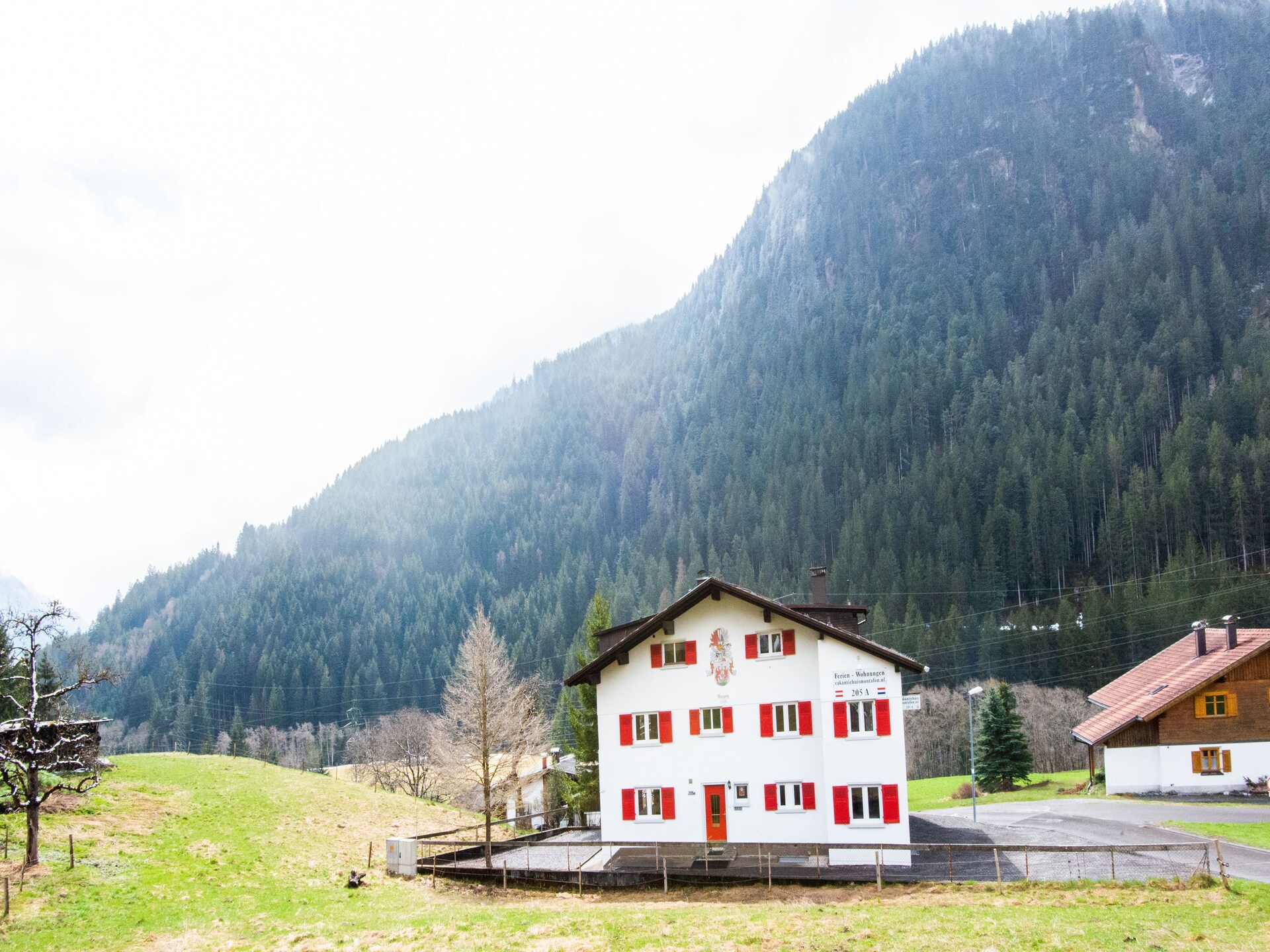 Appartement voor 8 aan de piste in Sankt Gallenkirch - foto 6