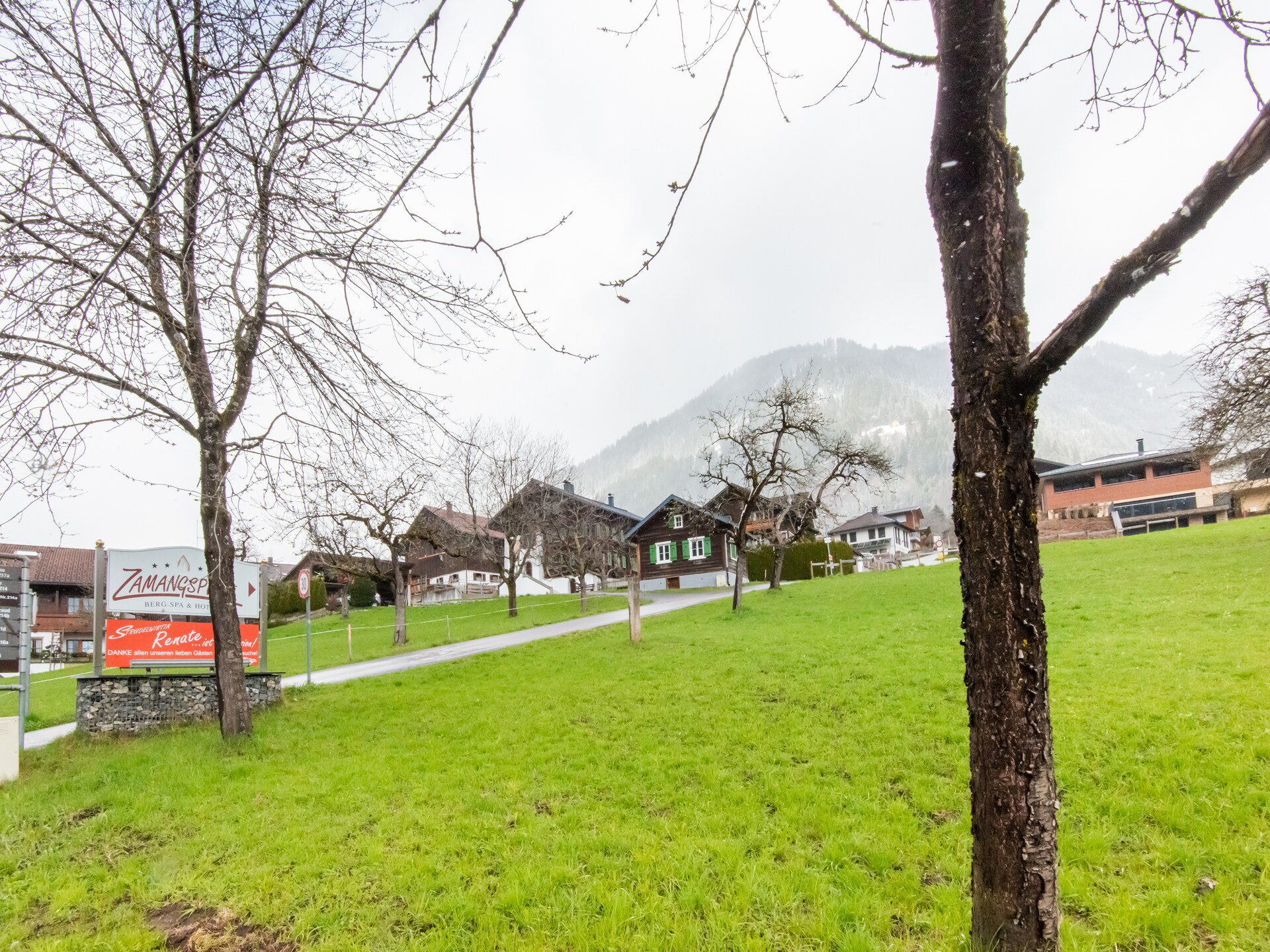 Appartement voor 8 aan de piste in Sankt Gallenkirch - foto 33