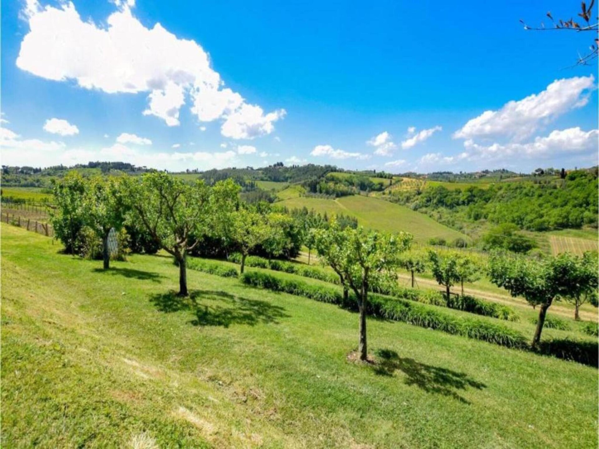 Vrijstaand chalet in Marliana met panoramisch uitzicht over de Toscaanse heuvels - foto 36