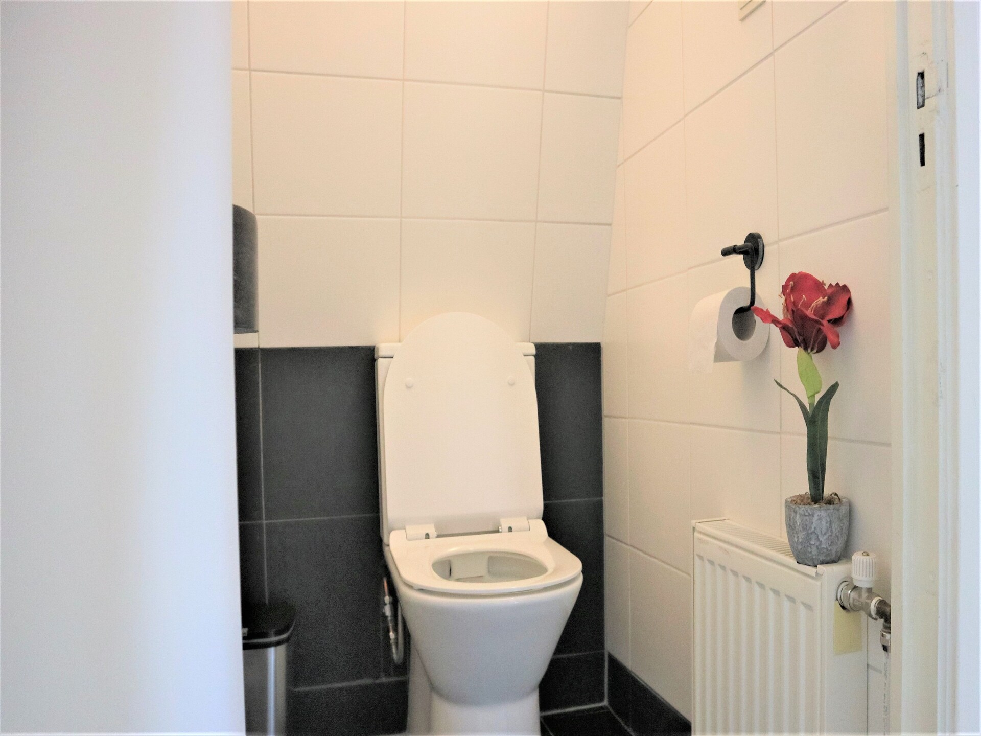 Sfeervol appartement met ontbijt en kano in hartje Giethoorn - foto 15