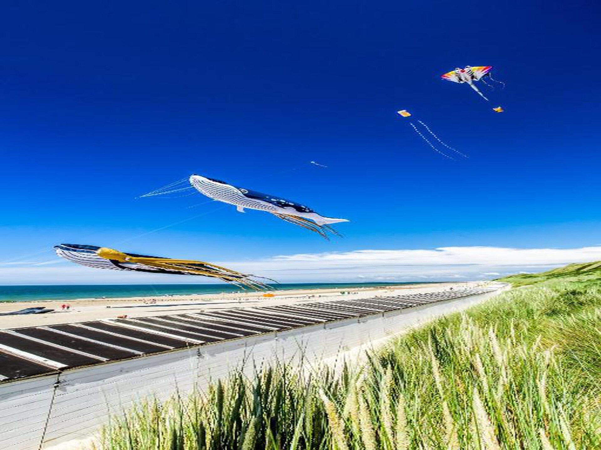 Luxe studio in Domburg: ontspan aan de Zeeuwse kust - foto 33