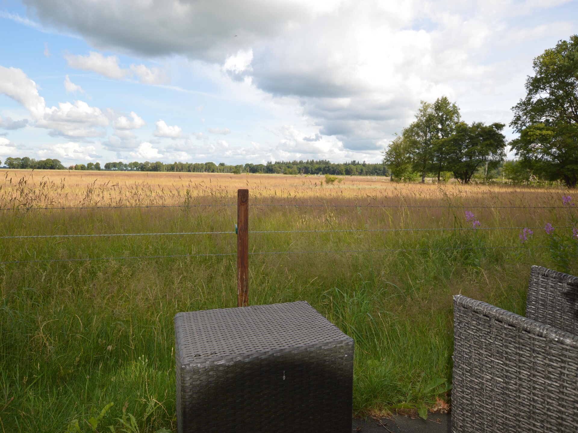 Vrijstaand vakantiehuis op de Sallandse Heuvelrug voor 10 personen - foto 39