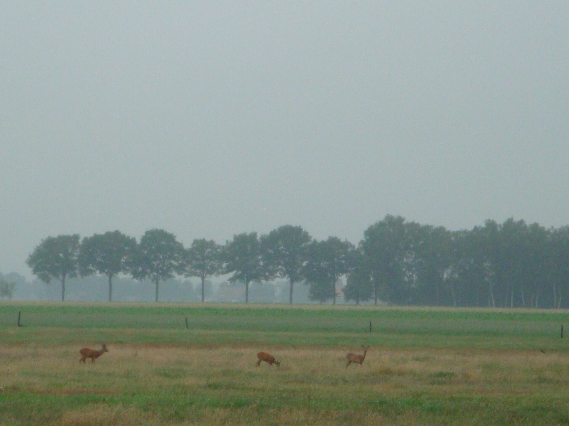 Buitenplaats Berg en Bos 18: Vrijstaand familiehuis aan de Lemelerberg - foto 15