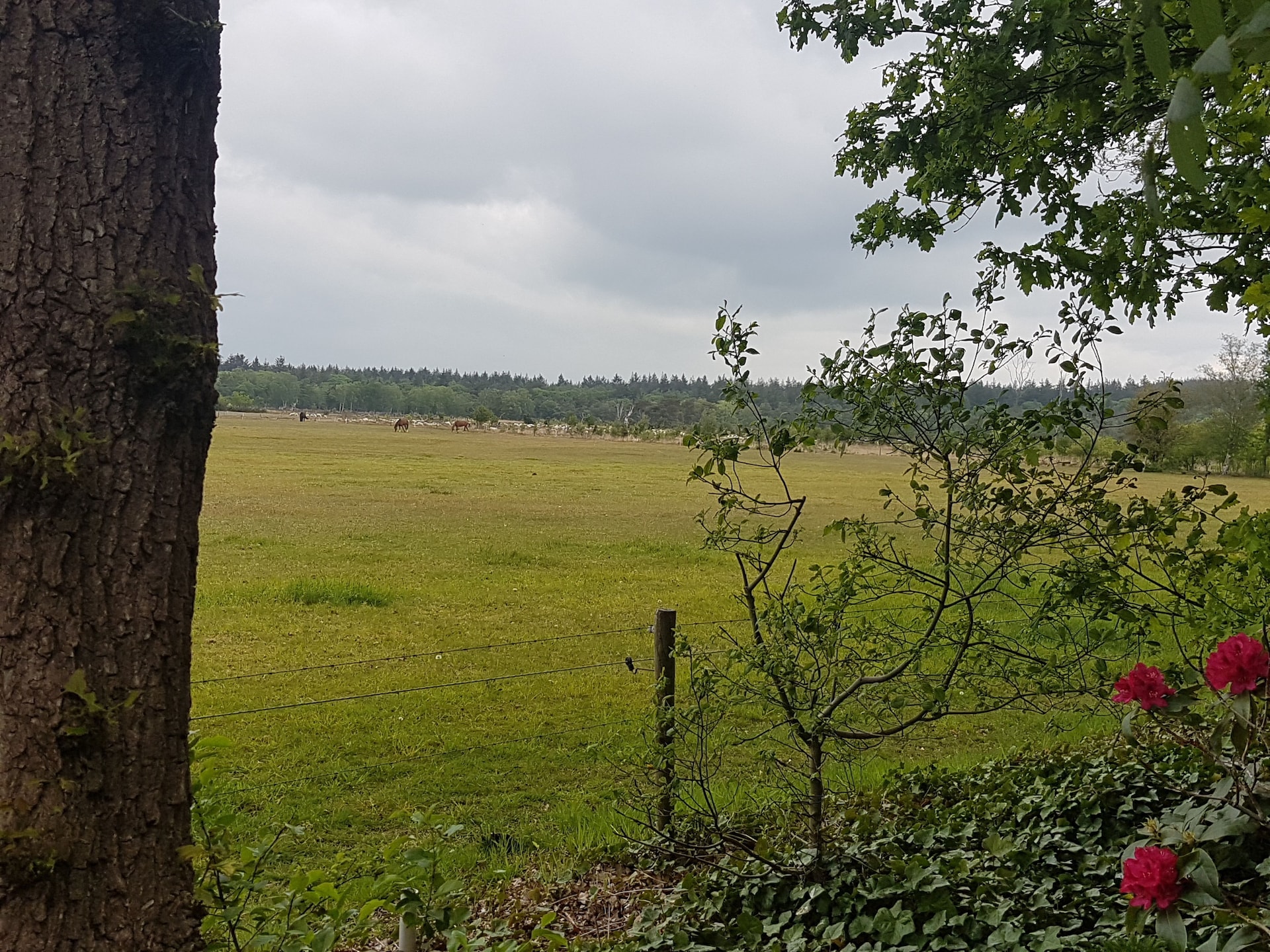 Buitenplaats Berg en Bos 18: Vrijstaand familiehuis aan de Lemelerberg - foto 17