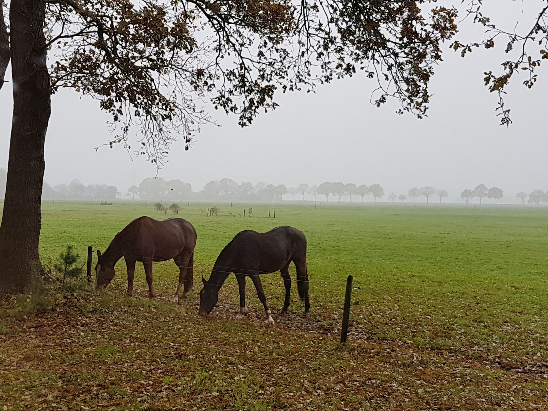 Buitenplaats Berg en Bos 18: Vrijstaand familiehuis aan de Lemelerberg - foto 19