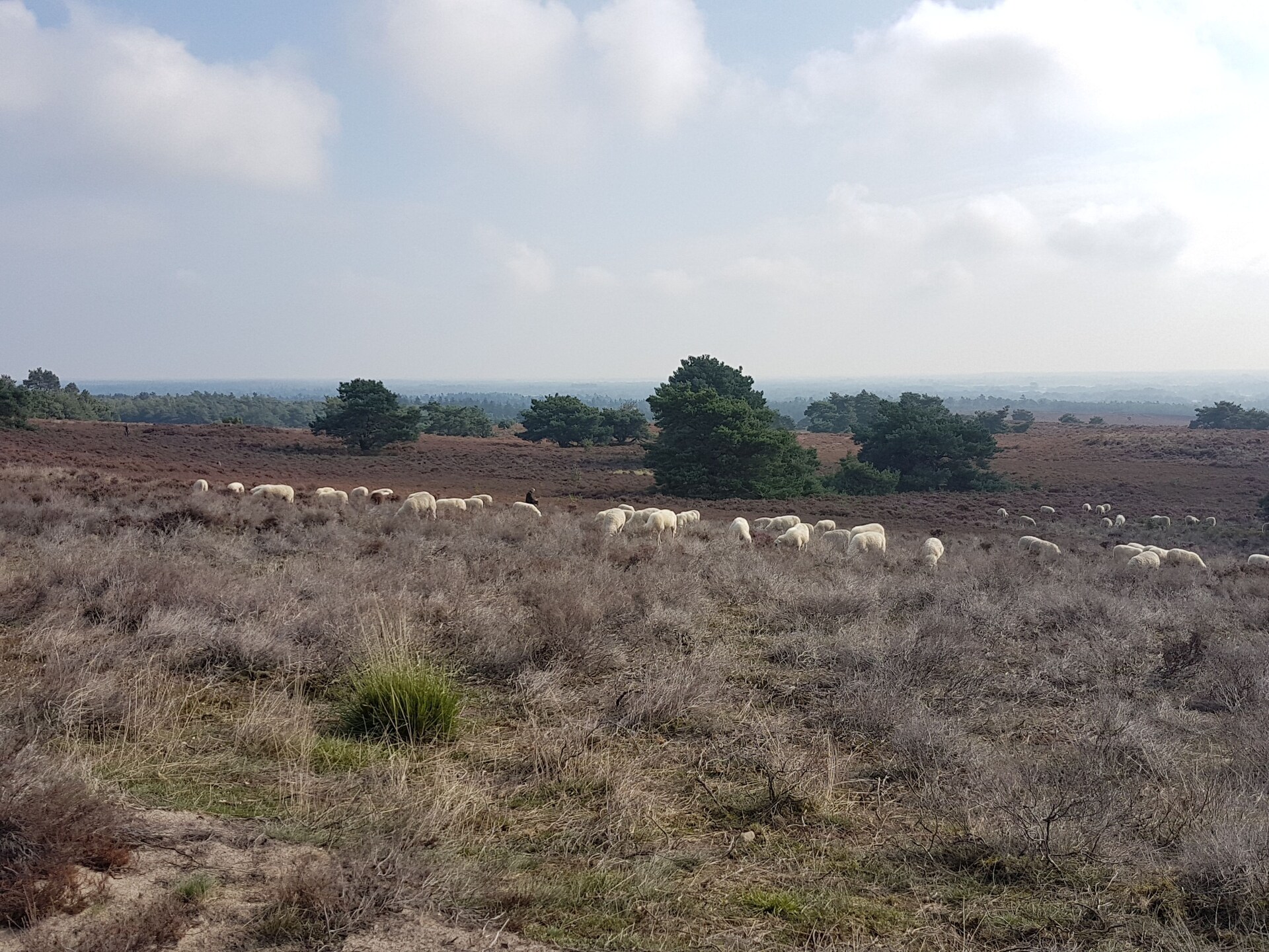 Buitenplaats Berg en Bos 18: Vrijstaand familiehuis aan de Lemelerberg - foto 13