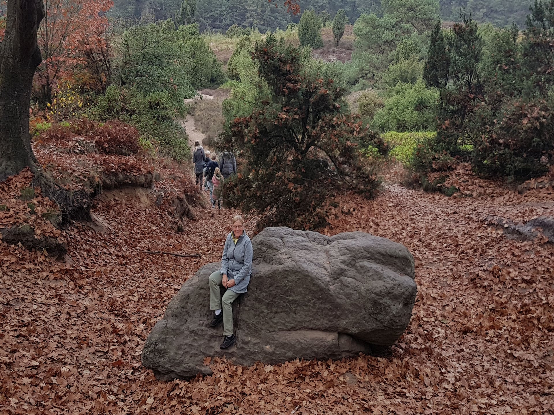 Buitenplaats Berg en Bos 18: Vrijstaand familiehuis aan de Lemelerberg - foto 26