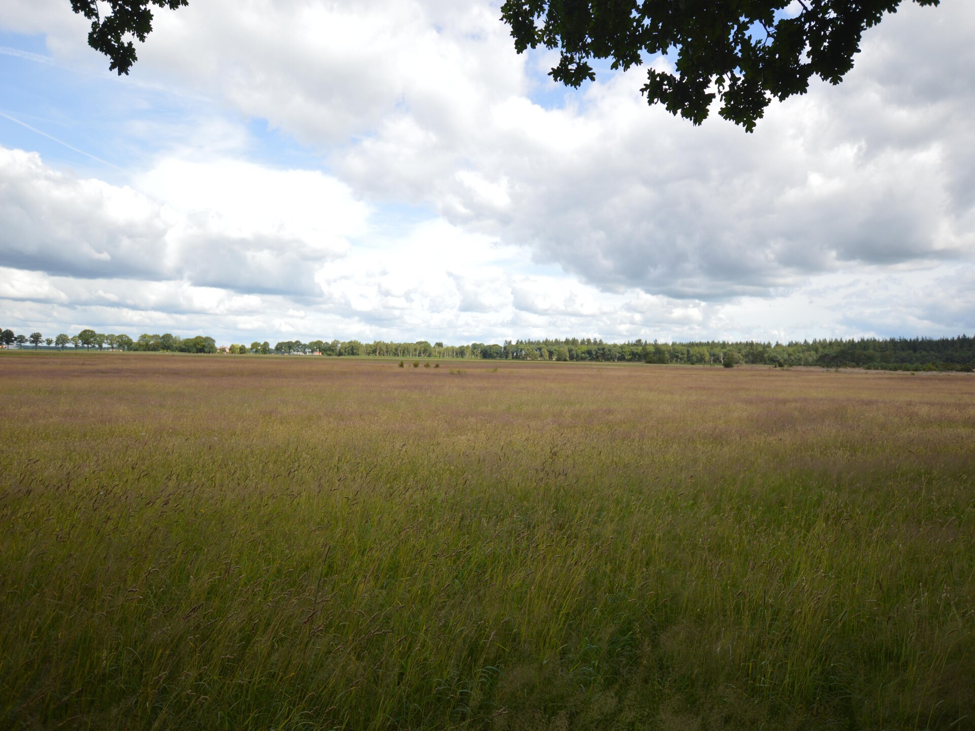 Buitenplaats Berg en Bos 18: Vrijstaand familiehuis aan de Lemelerberg - foto 11