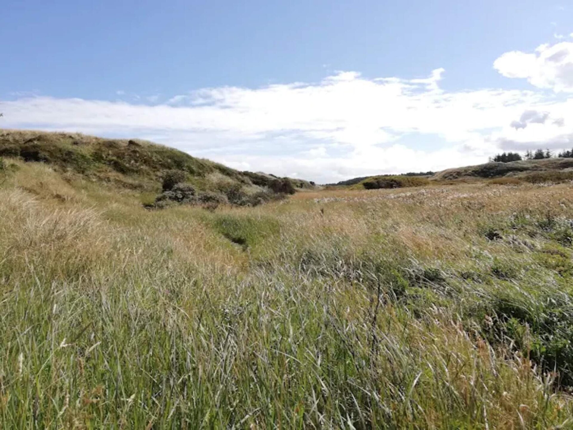Sfeervol vakantiehuis nabij het strand in Ålbæk - foto 5