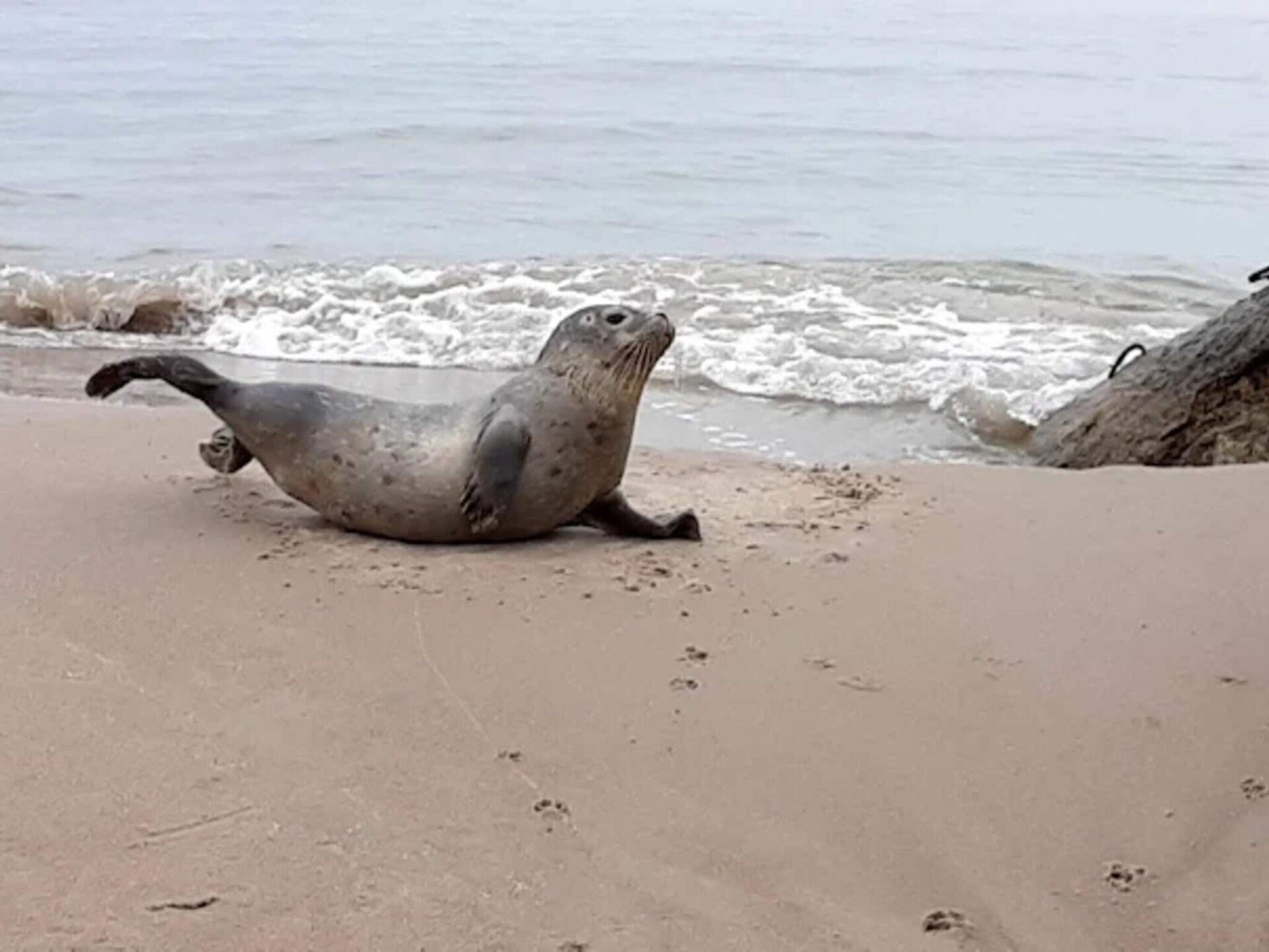 Sfeervol vakantiehuis nabij het strand in Ålbæk - foto 9