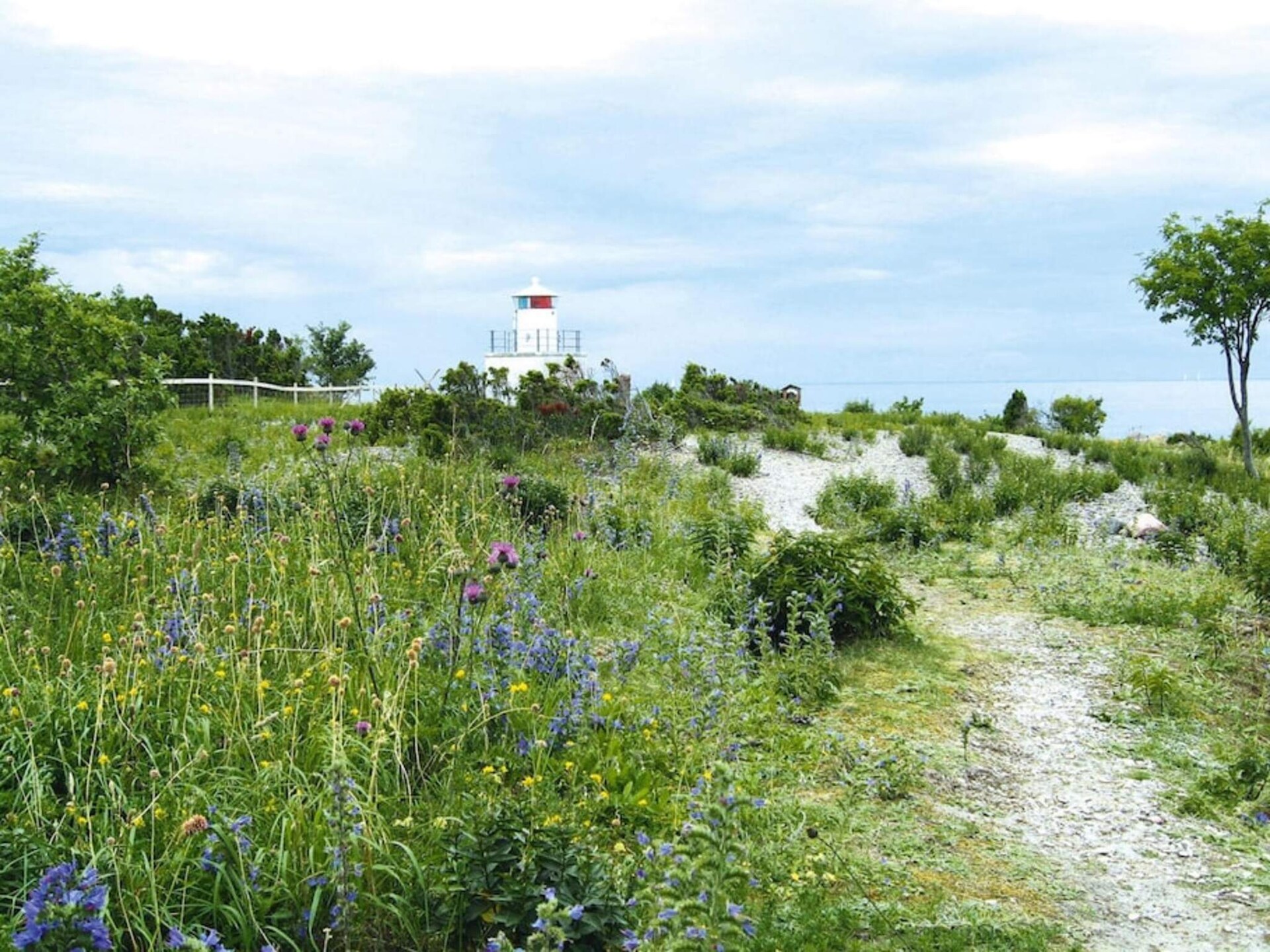 Licht vakantiehuis bij zee in Byxelkrok, Öland – 500m tot strand & haven - foto 11