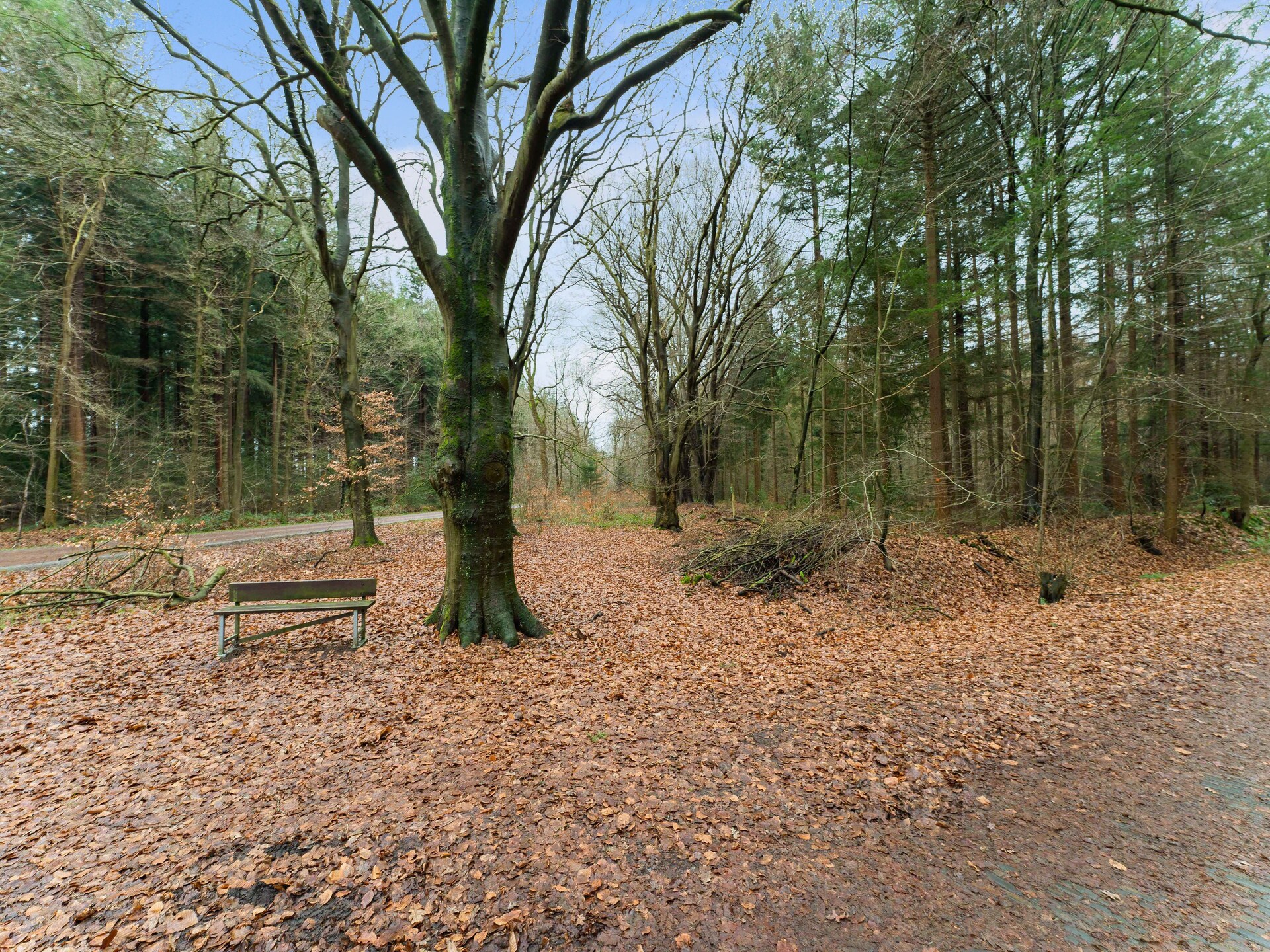 Boshuis De Klim – Privé wellness in de bossen van Drenthe - foto 31