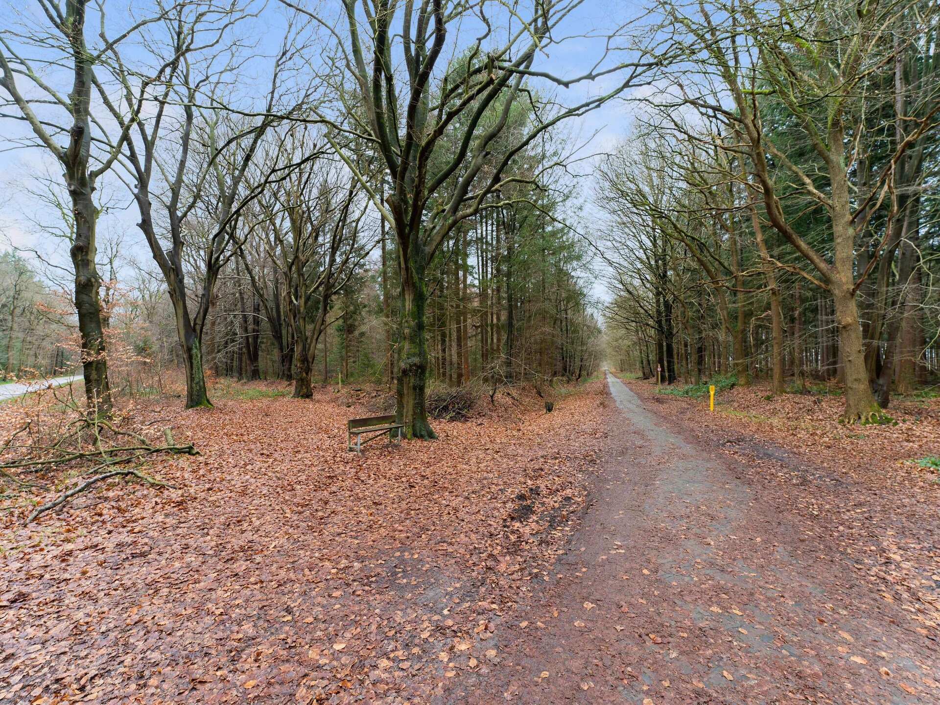 Boshuis De Klim – Privé wellness in de bossen van Drenthe - foto 32