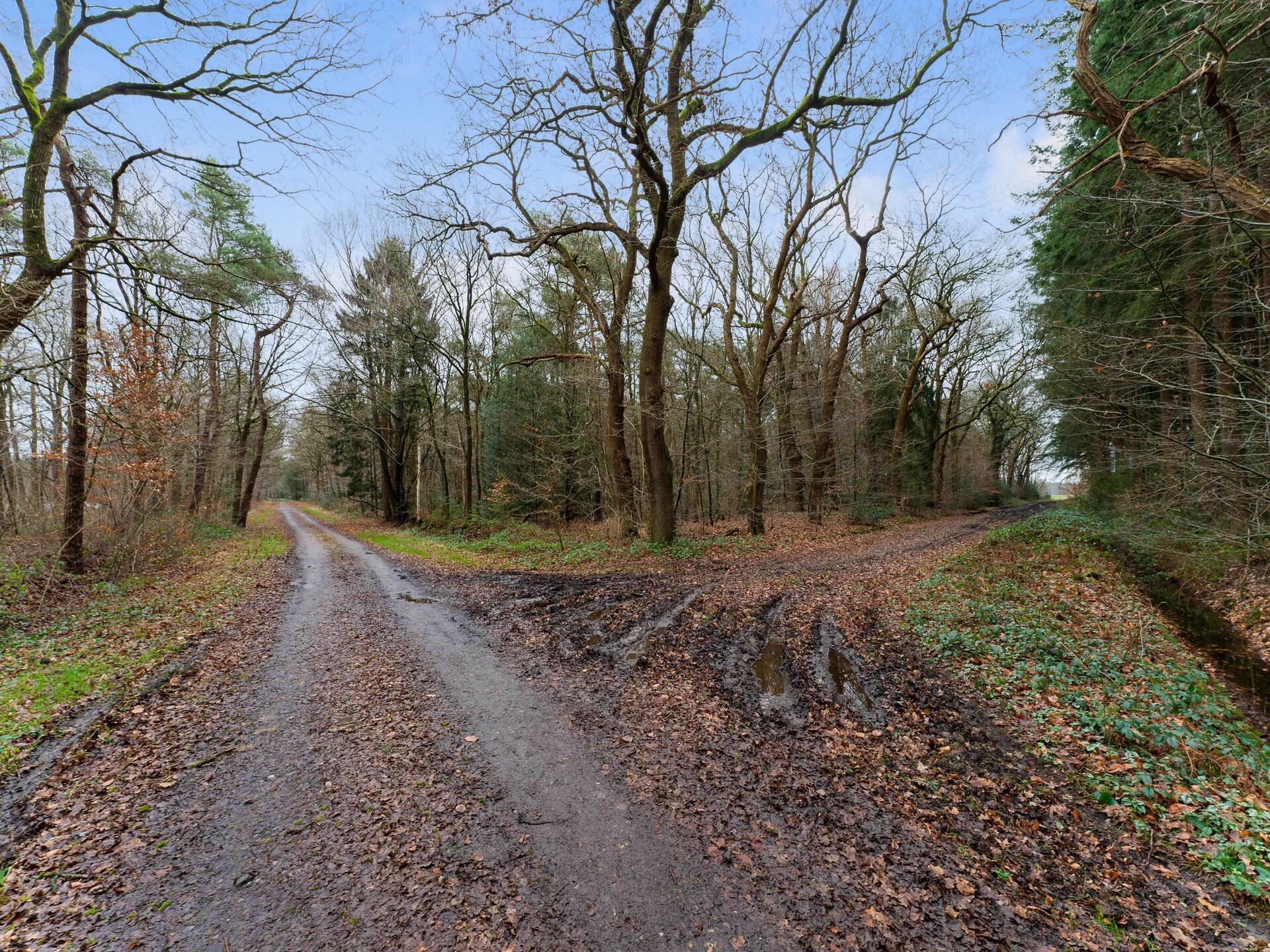 Boshuis De Klim – Privé wellness in de bossen van Drenthe - foto 33