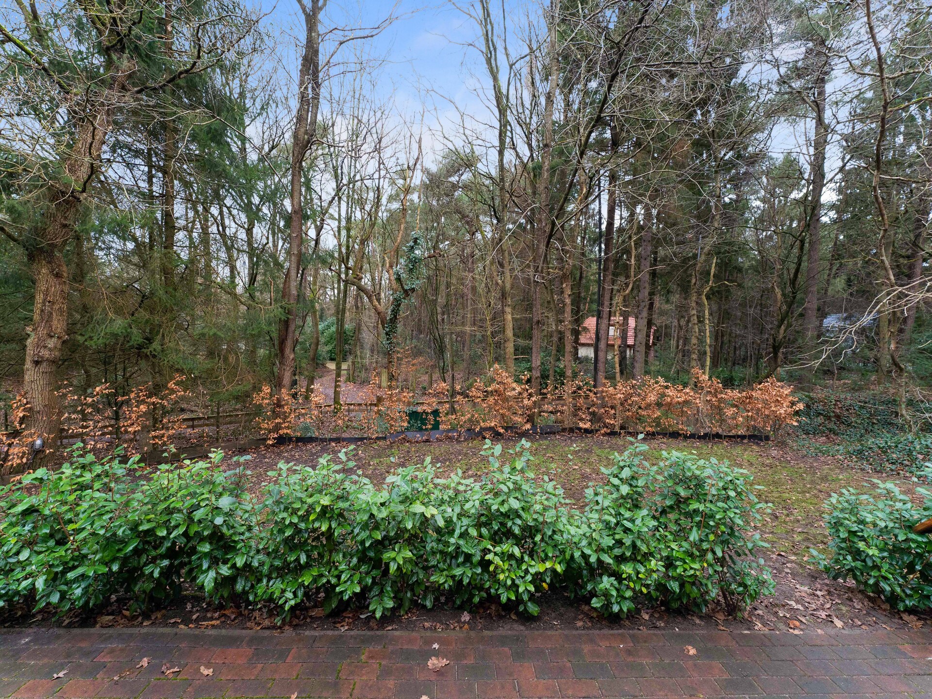 Boshuis De Klim – Privé wellness in de bossen van Drenthe - foto 35