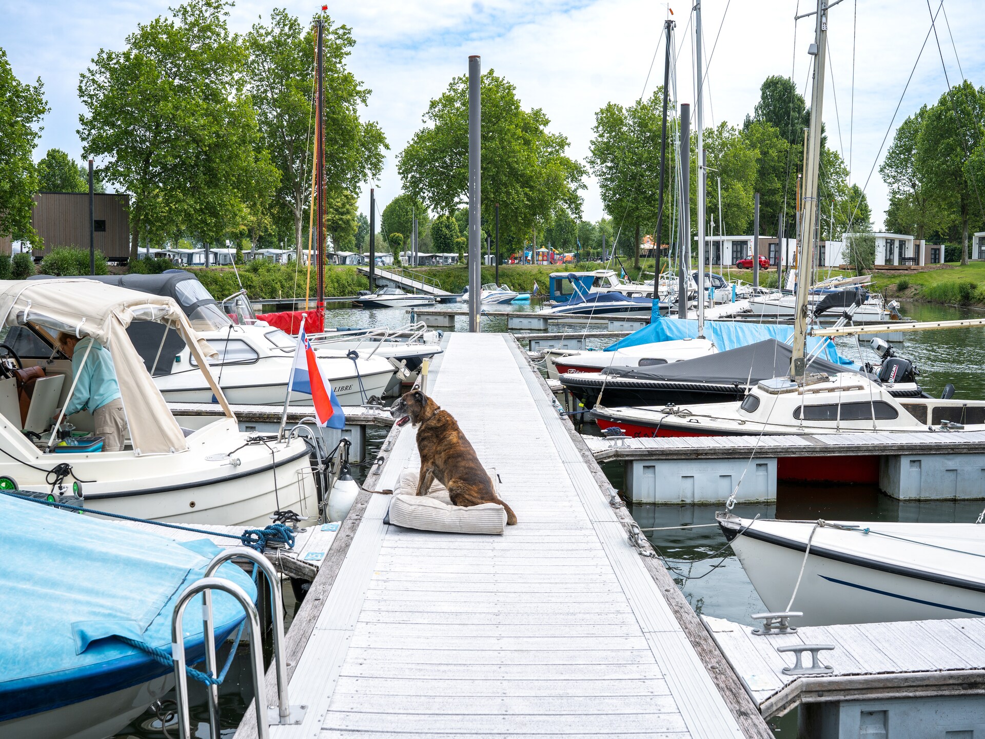 MarinaPark Bad Nederrijn 1: luxe vakantiehuis aan de waterkant in Maurik - foto 32