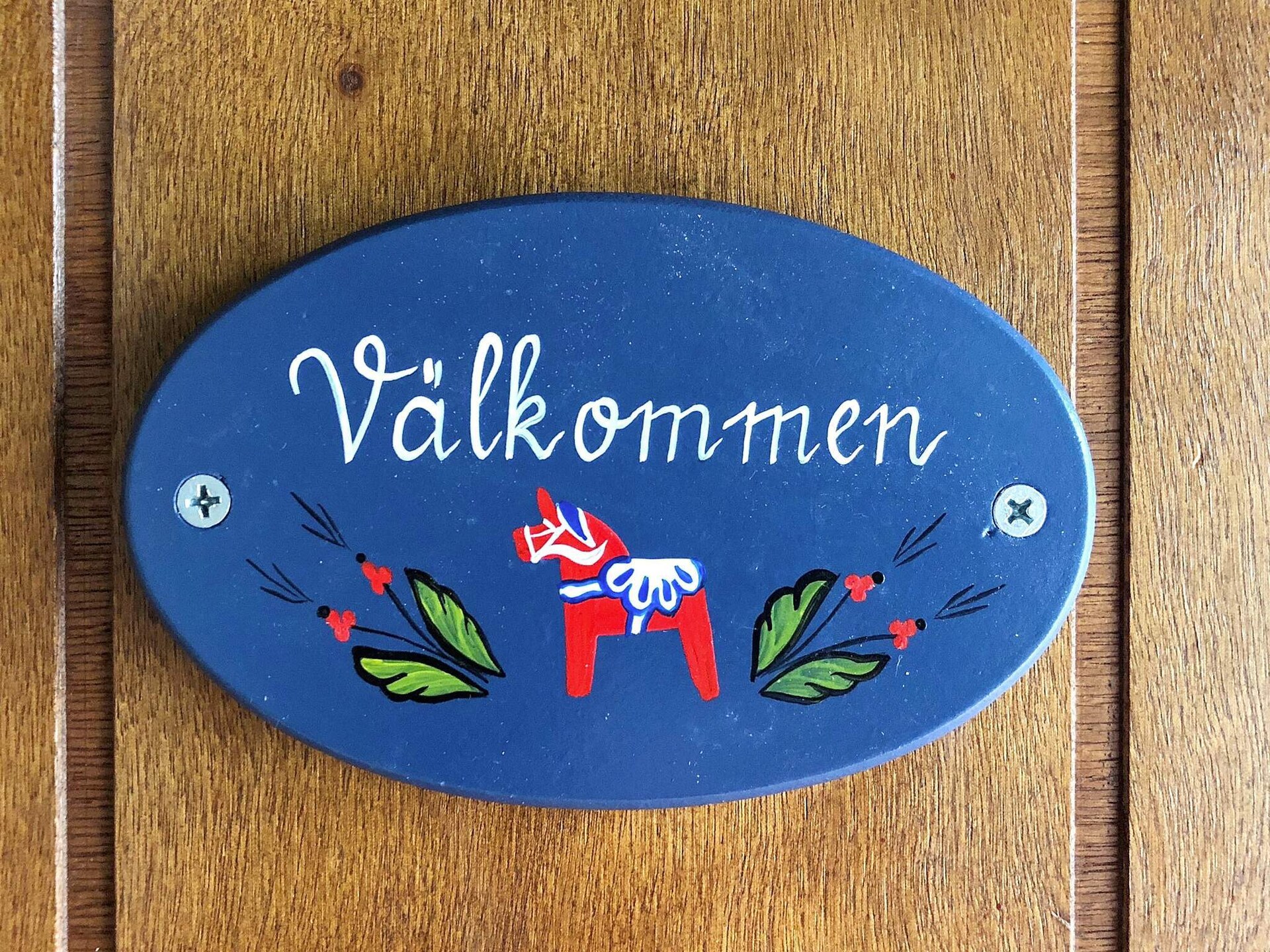 Gezellig vakantiehuis in het groen bij Stöten, Sälen - foto 15